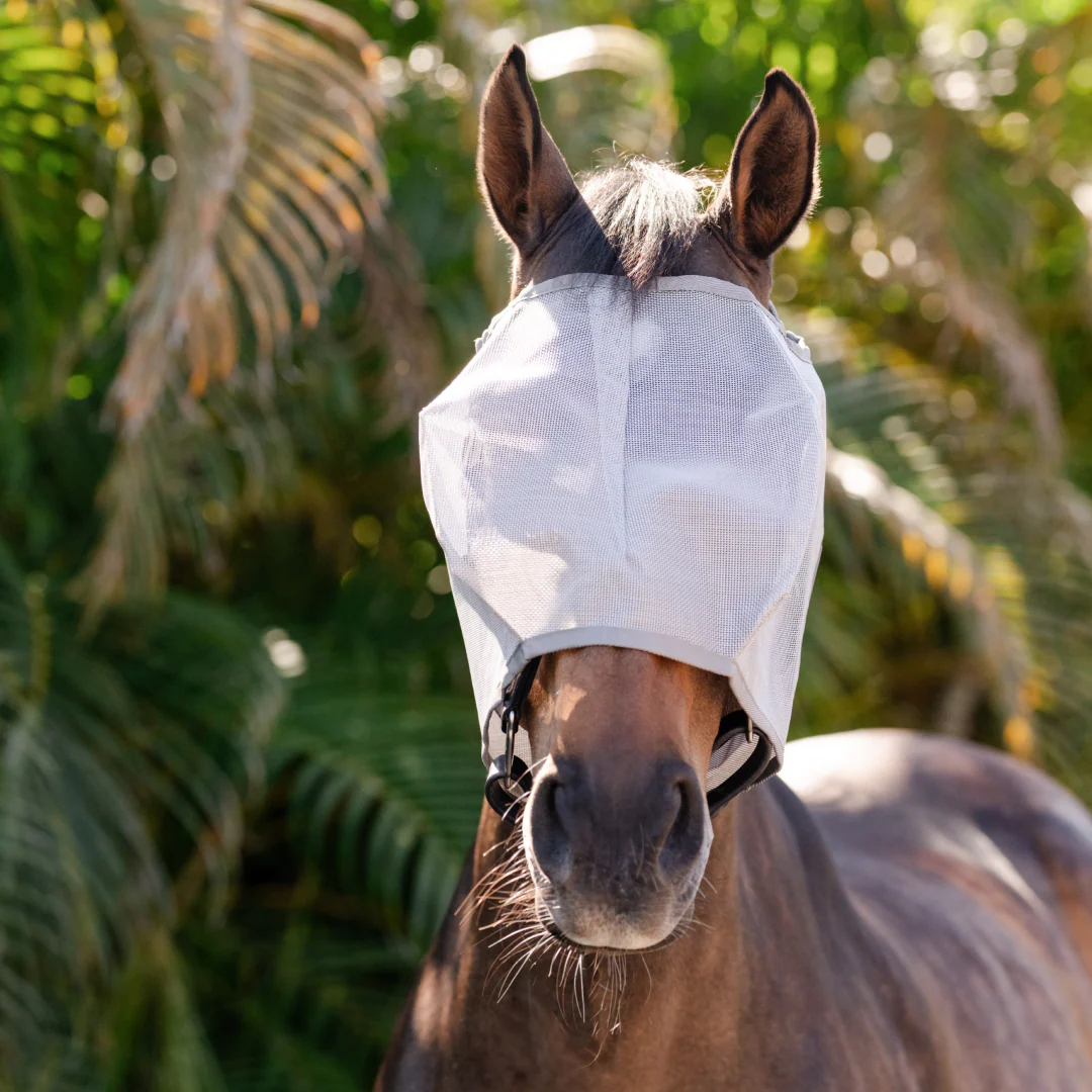 Horseware Ireland Amigo No Ears Flymask - Image 2
