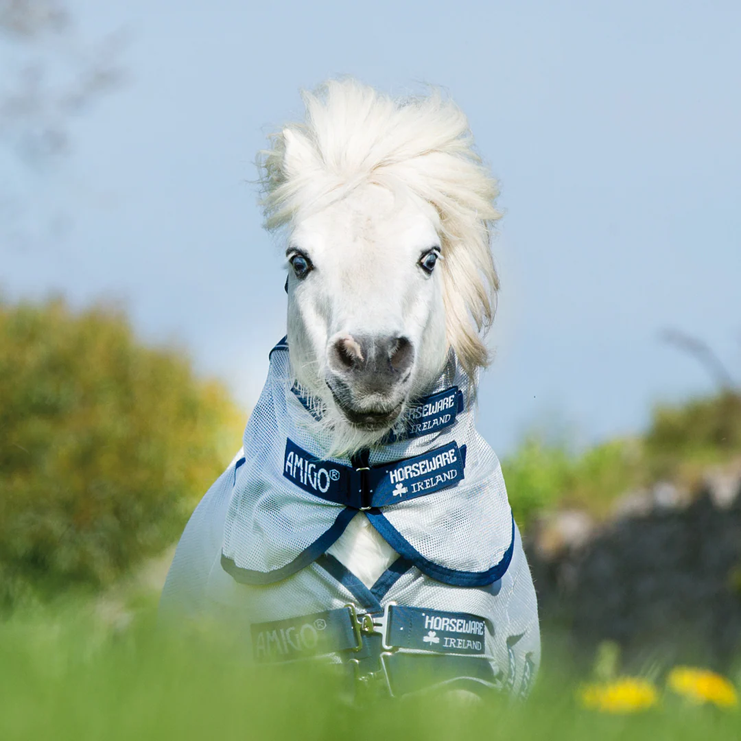Horseware Ireland Amigo Petite Bug Rug - Image 13