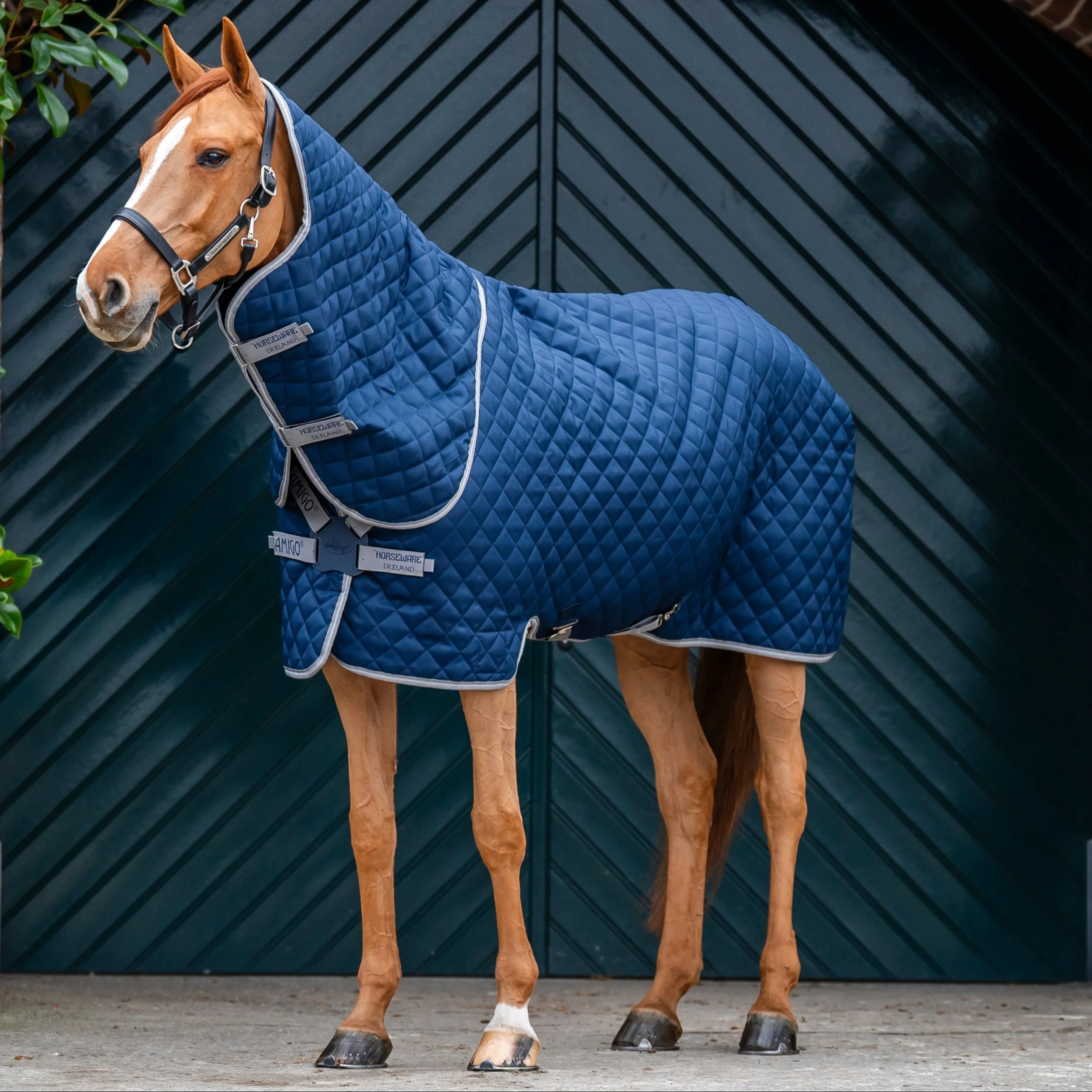 Horseware Ireland Amigo Quilted 200g Plus Stable Rug
