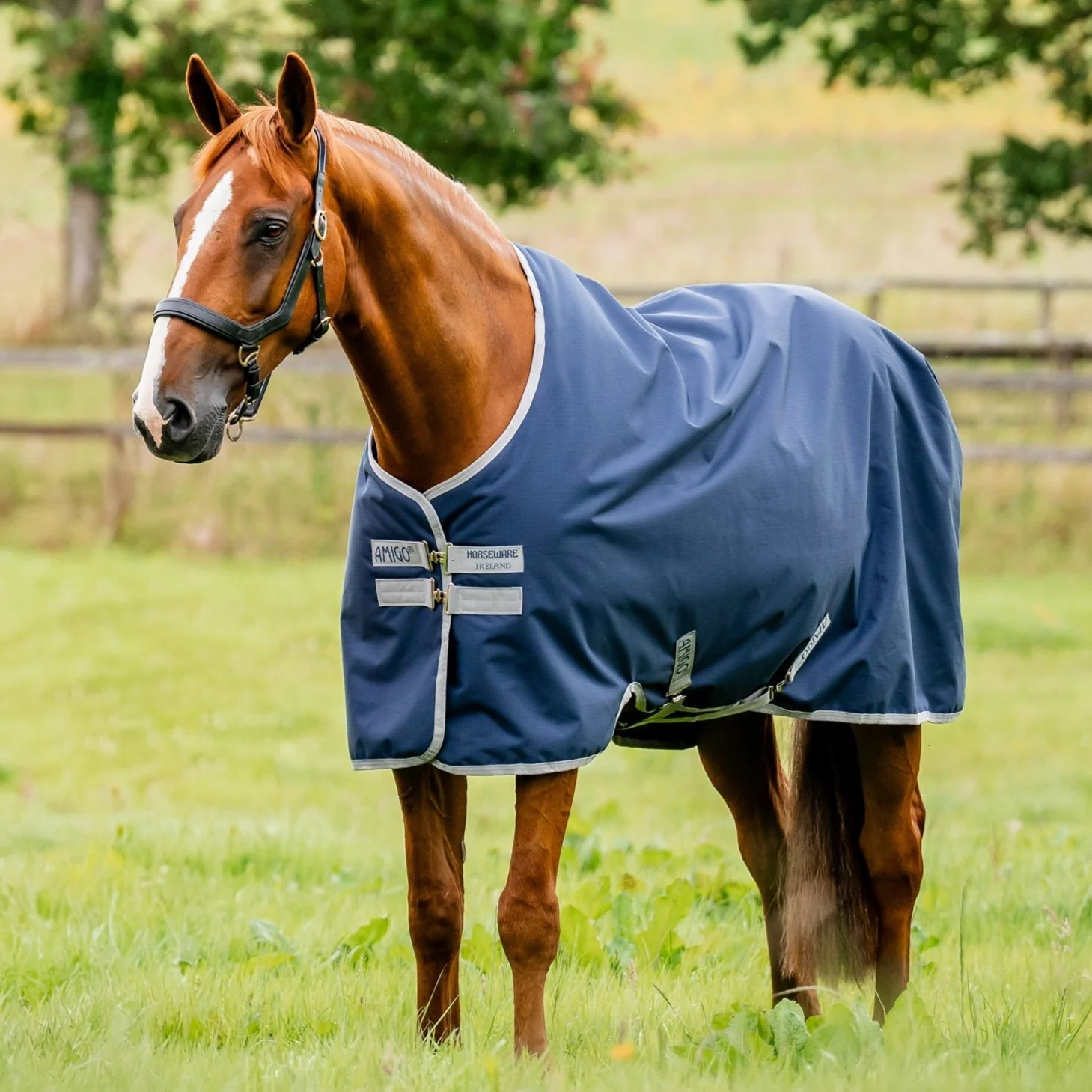 Horseware Ireland Amigo Ripstop 900 50g