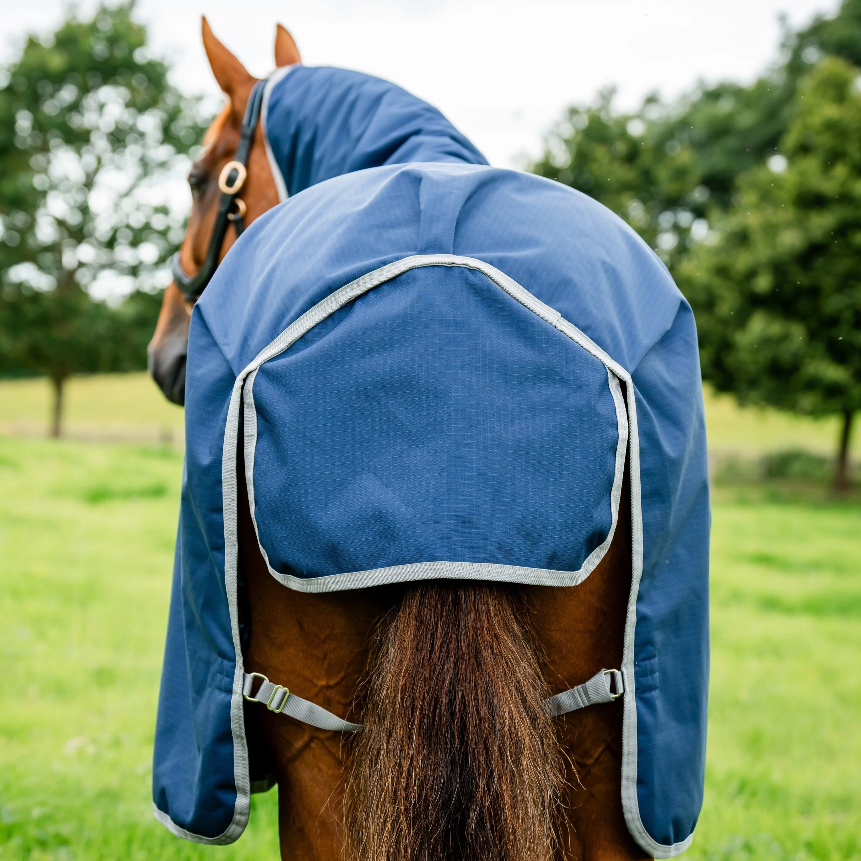Horseware Ireland Amigo Ripstop 900 50g - Image 6