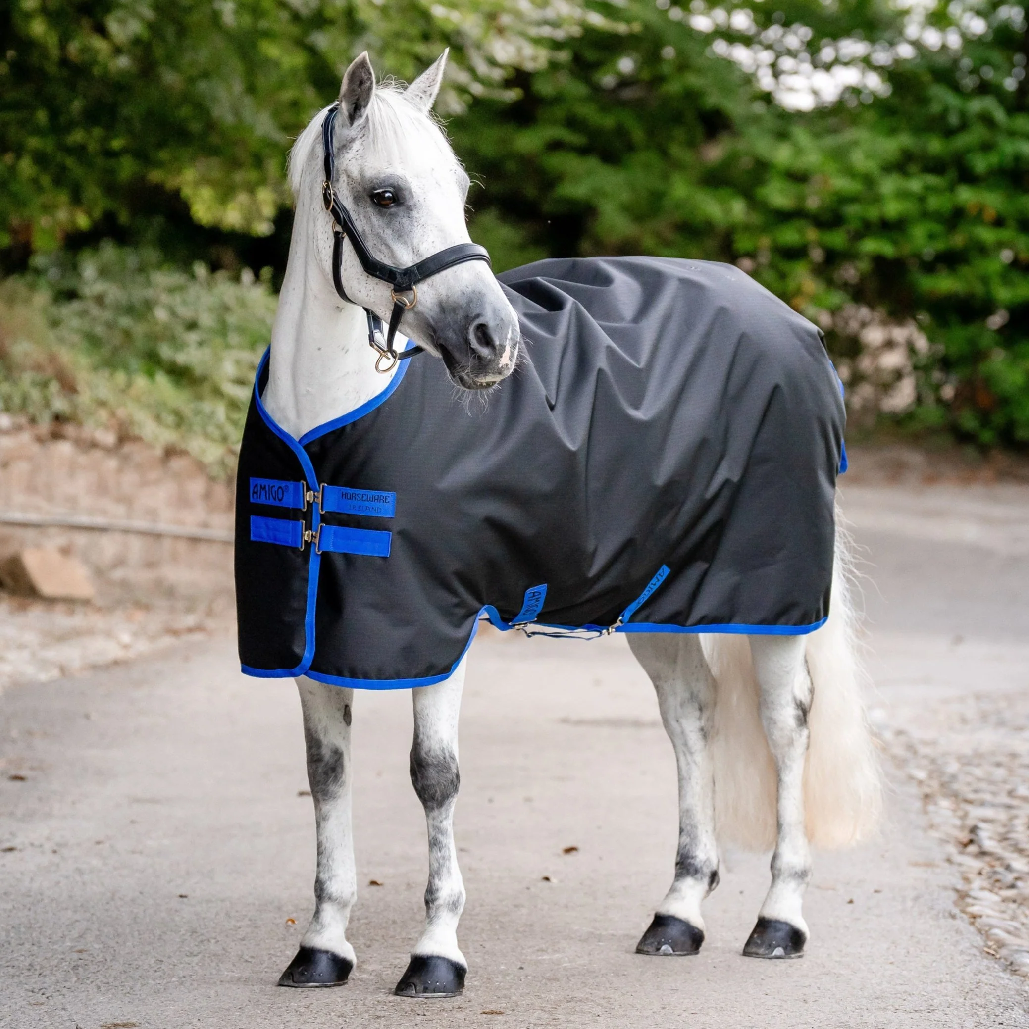 Horseware Ireland Amigo Ripstop 900 50g - Image 8