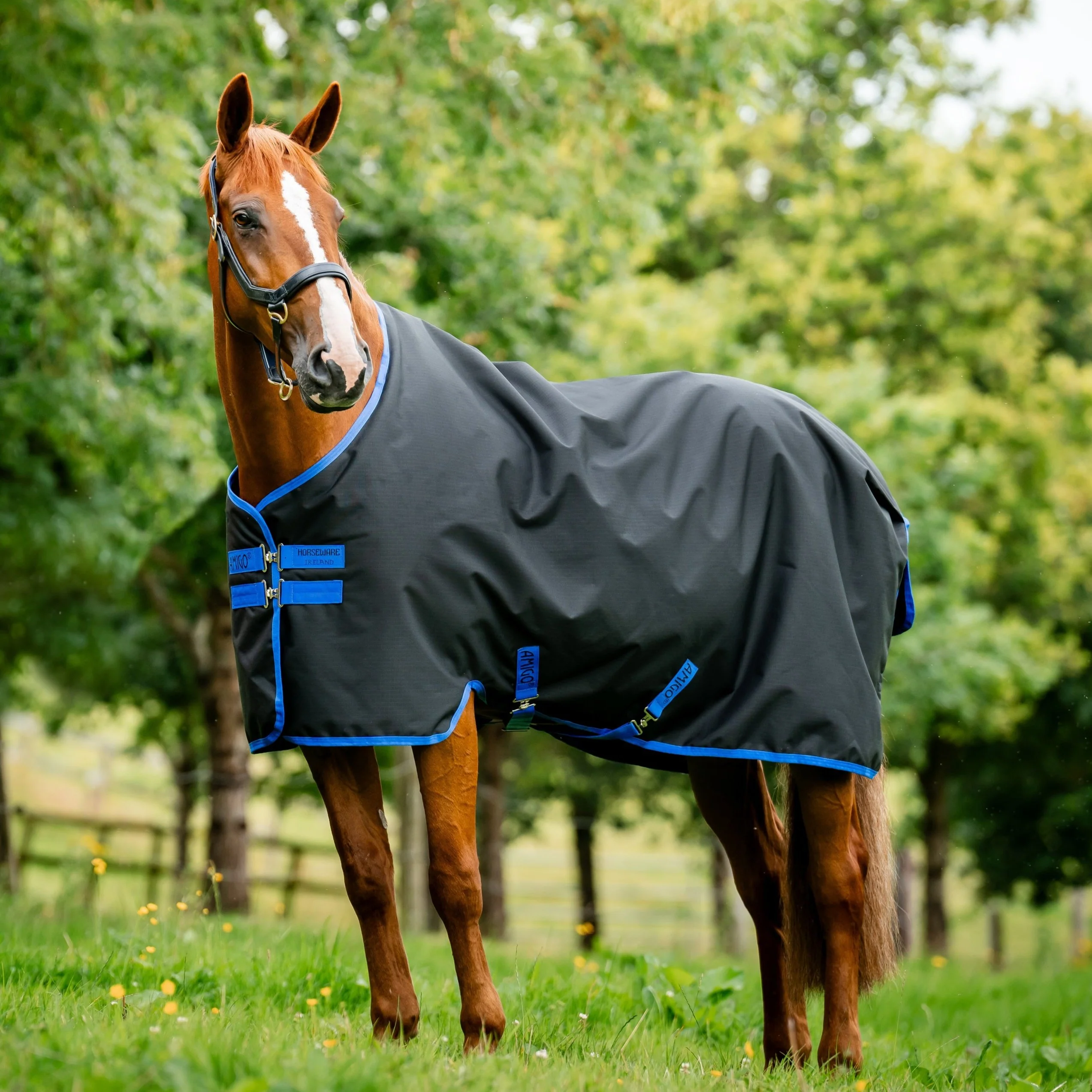 Horseware Ireland Amigo Ripstop 900 Fleece Lined 50g - Image 2