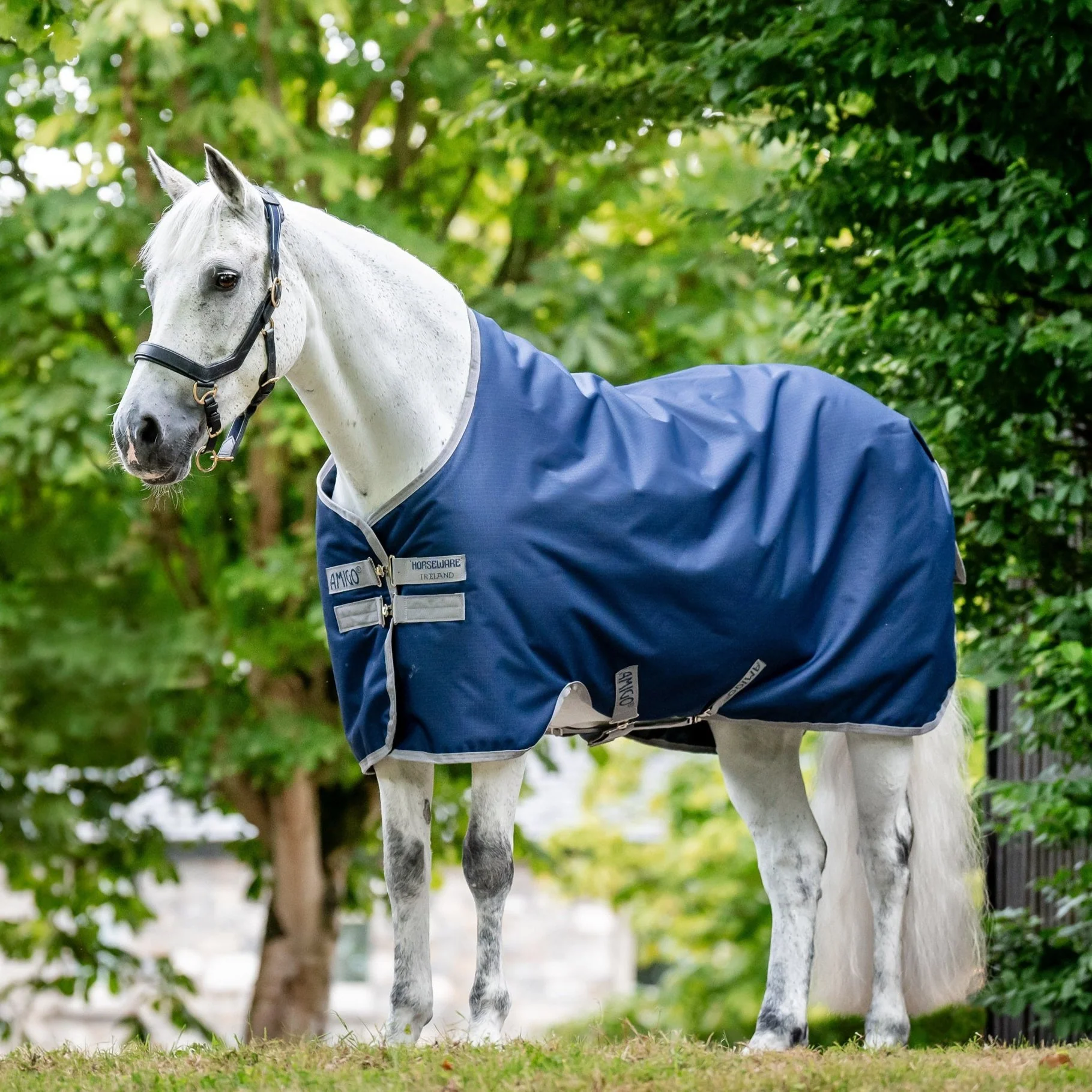Horseware Ireland Amigo Ripstop 900 Fleece Lined 50g - Image 7