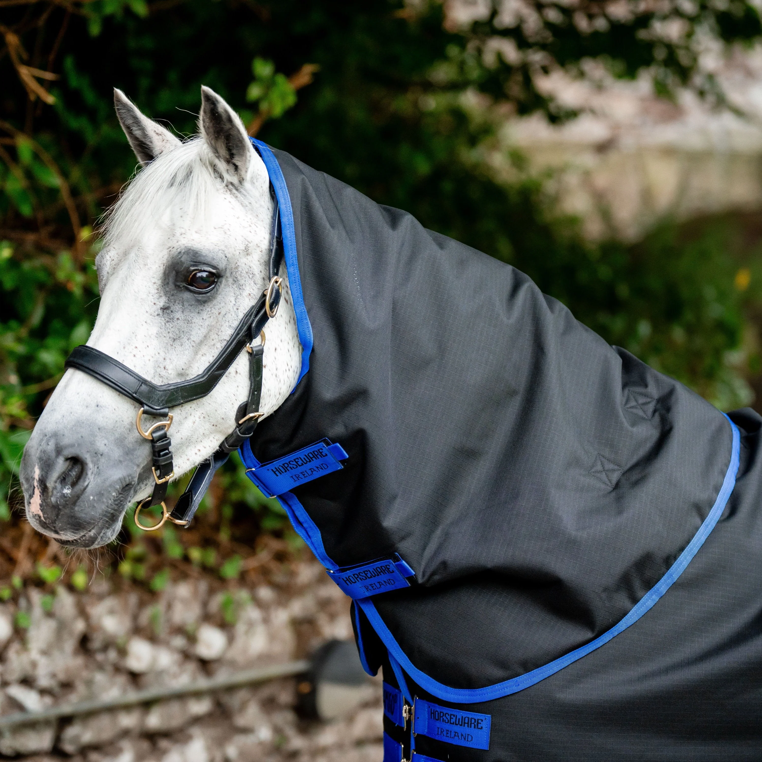 Horseware Ireland Amigo Ripstop 900 Hood 0g - Image 2