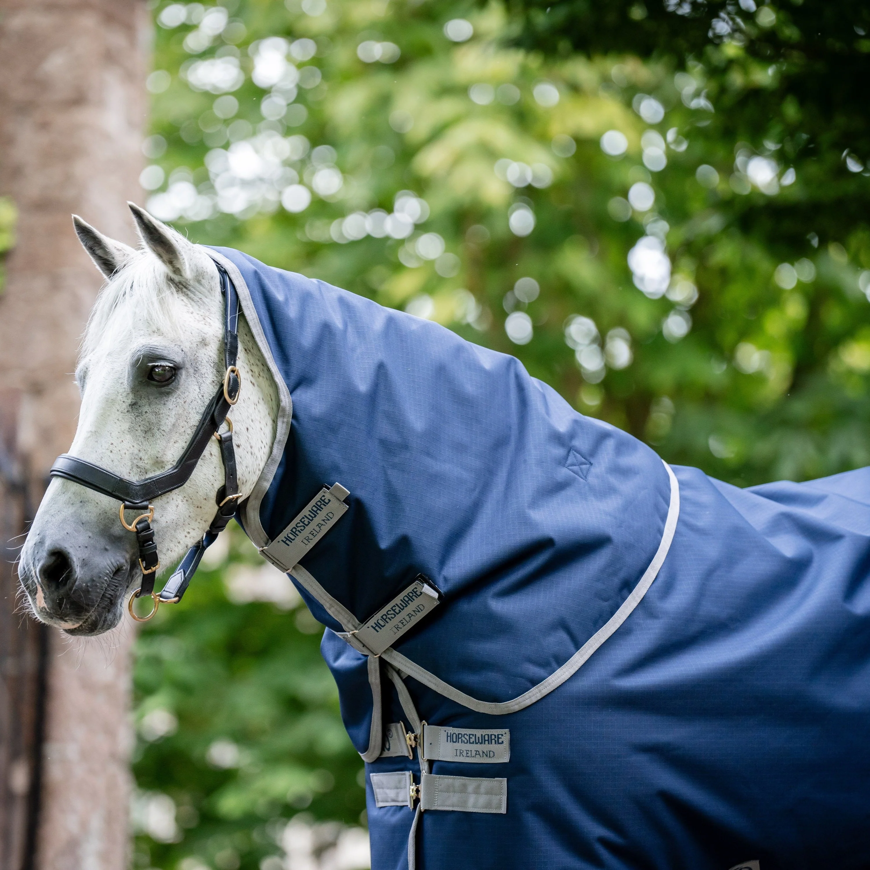 Horseware Ireland Amigo Ripstop 900 Hood 0g - Image 3