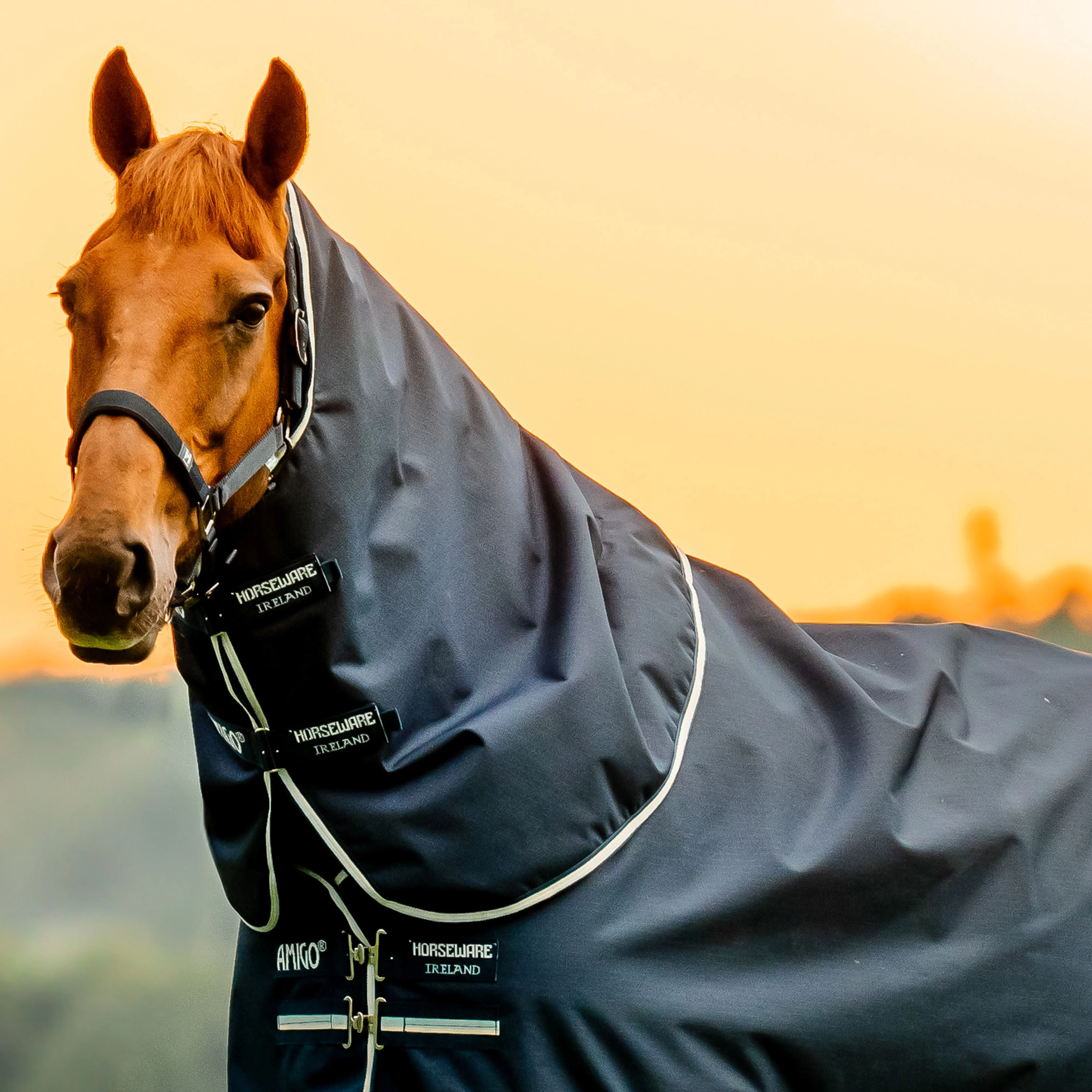 Horseware Ireland Amigo Ripstop 900 Hood 0g - Image 4