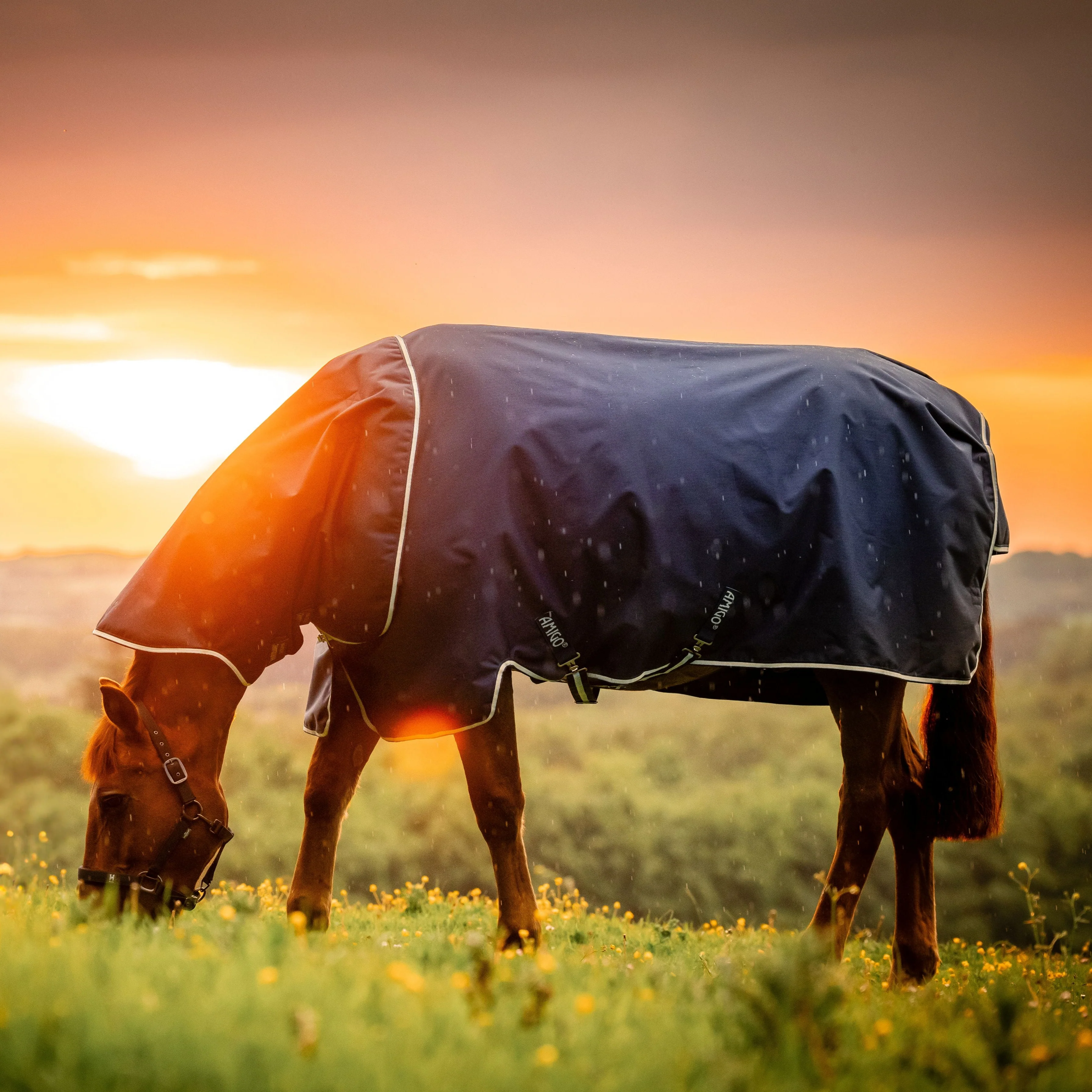 Horseware Ireland Amigo Ripstop 900 Plus 0g - Image 24