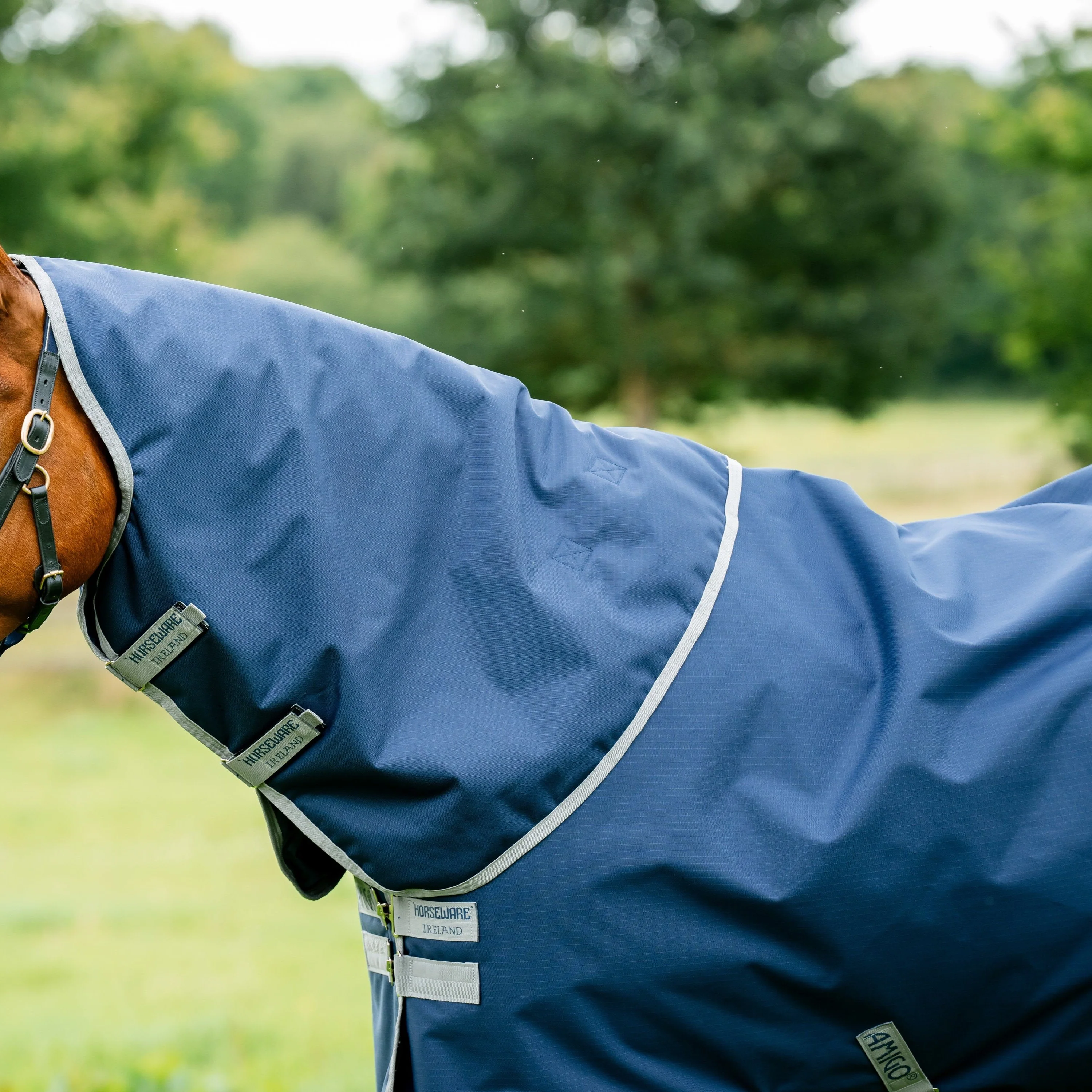 Horseware Ireland Amigo Ripstop 900 Plus 100g - Image 10