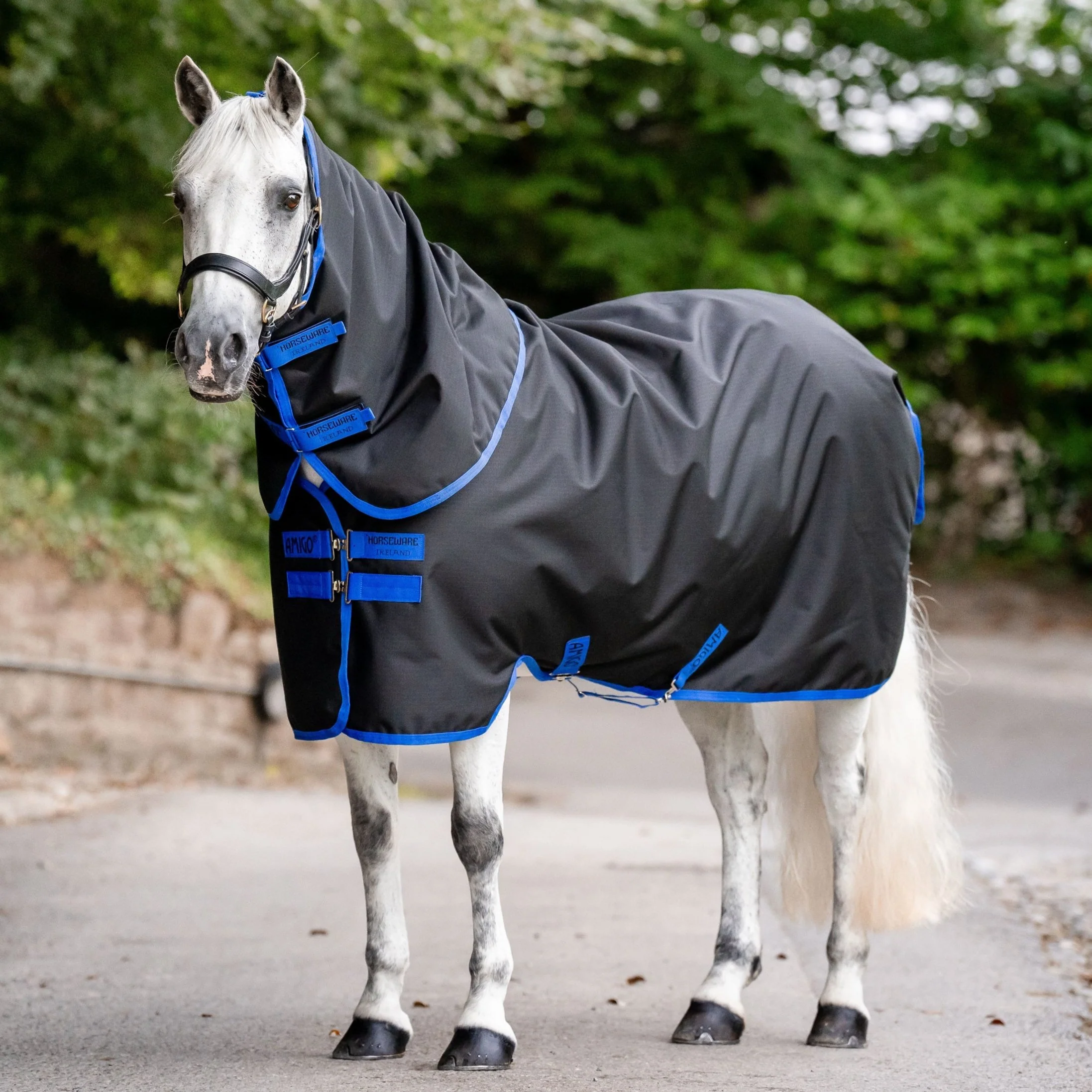Horseware Ireland Amigo Ripstop 900 Plus 100g - Image 13
