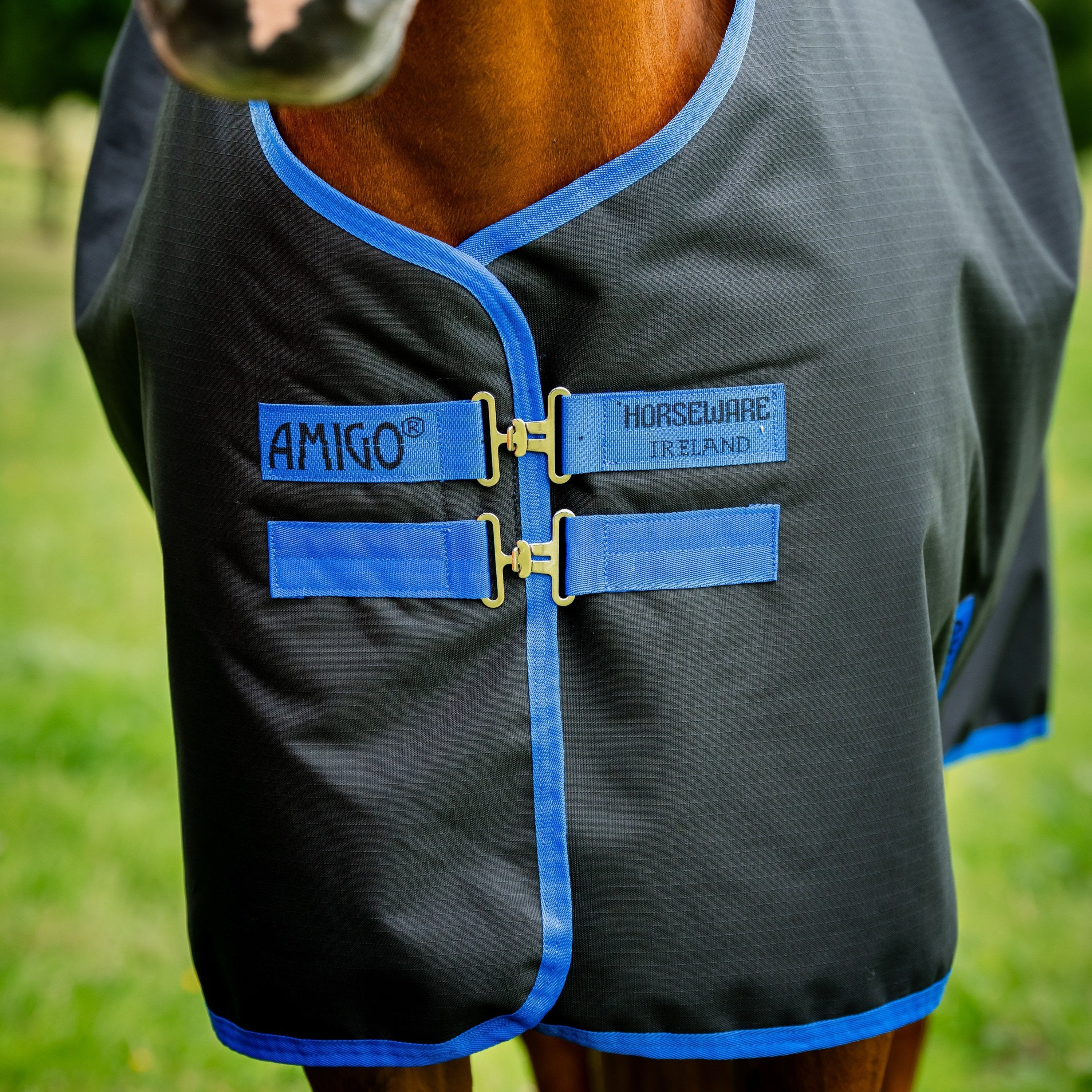 Horseware Ireland Amigo Ripstop 900 Plus 100g - Image 15