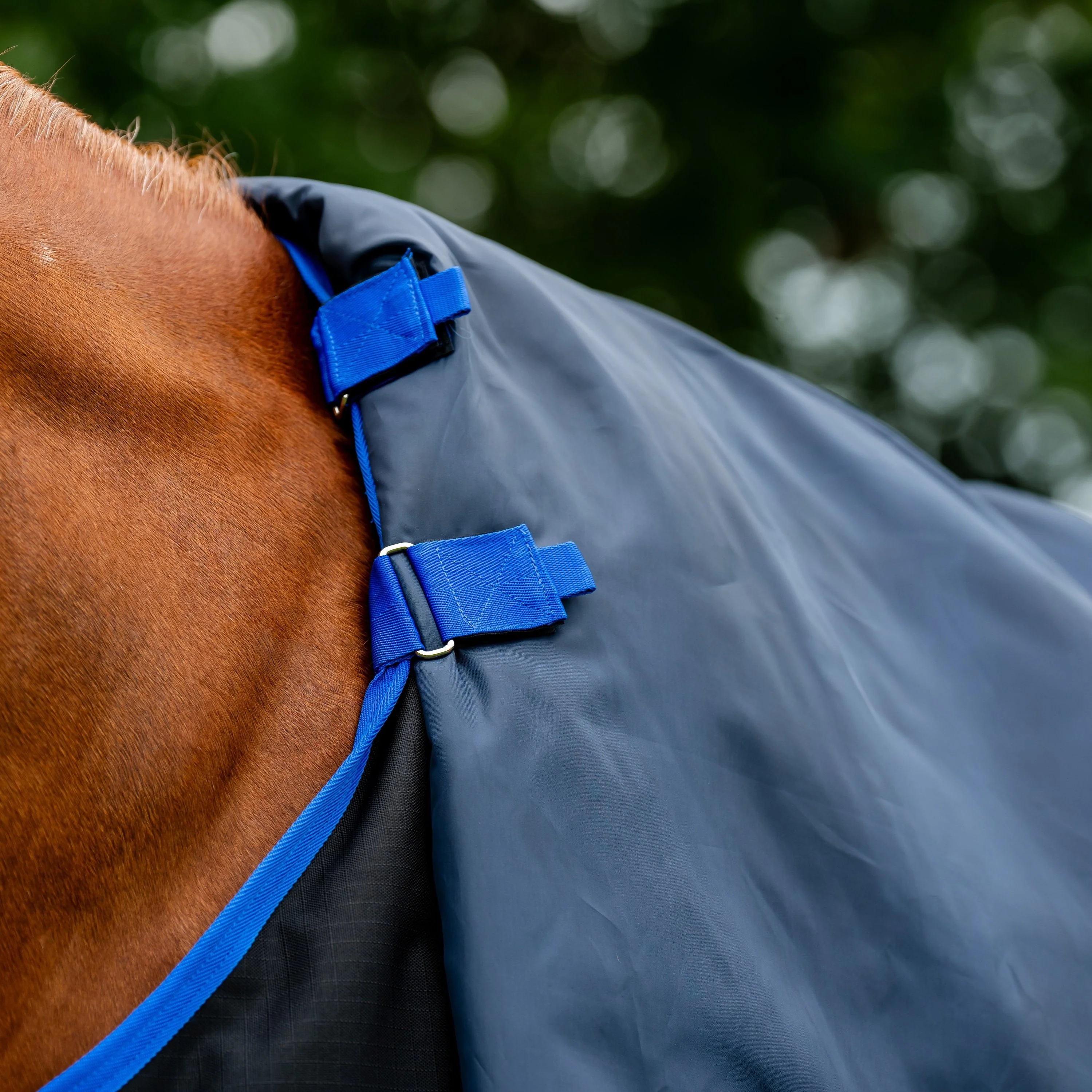 Horseware Ireland Amigo Ripstop 900 Plus 100g - Image 16