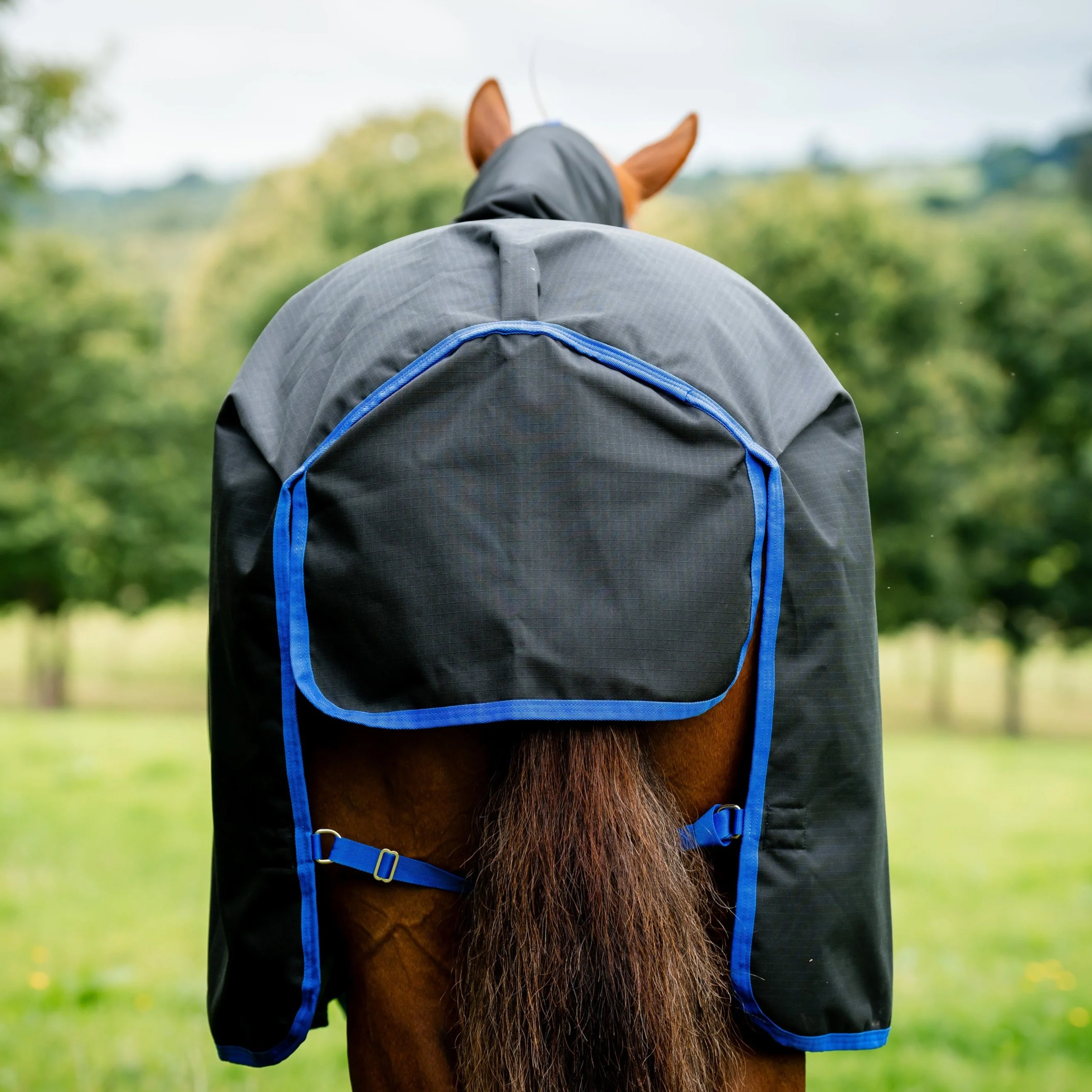 Horseware Ireland Amigo Ripstop 900 Plus 100g - Image 18