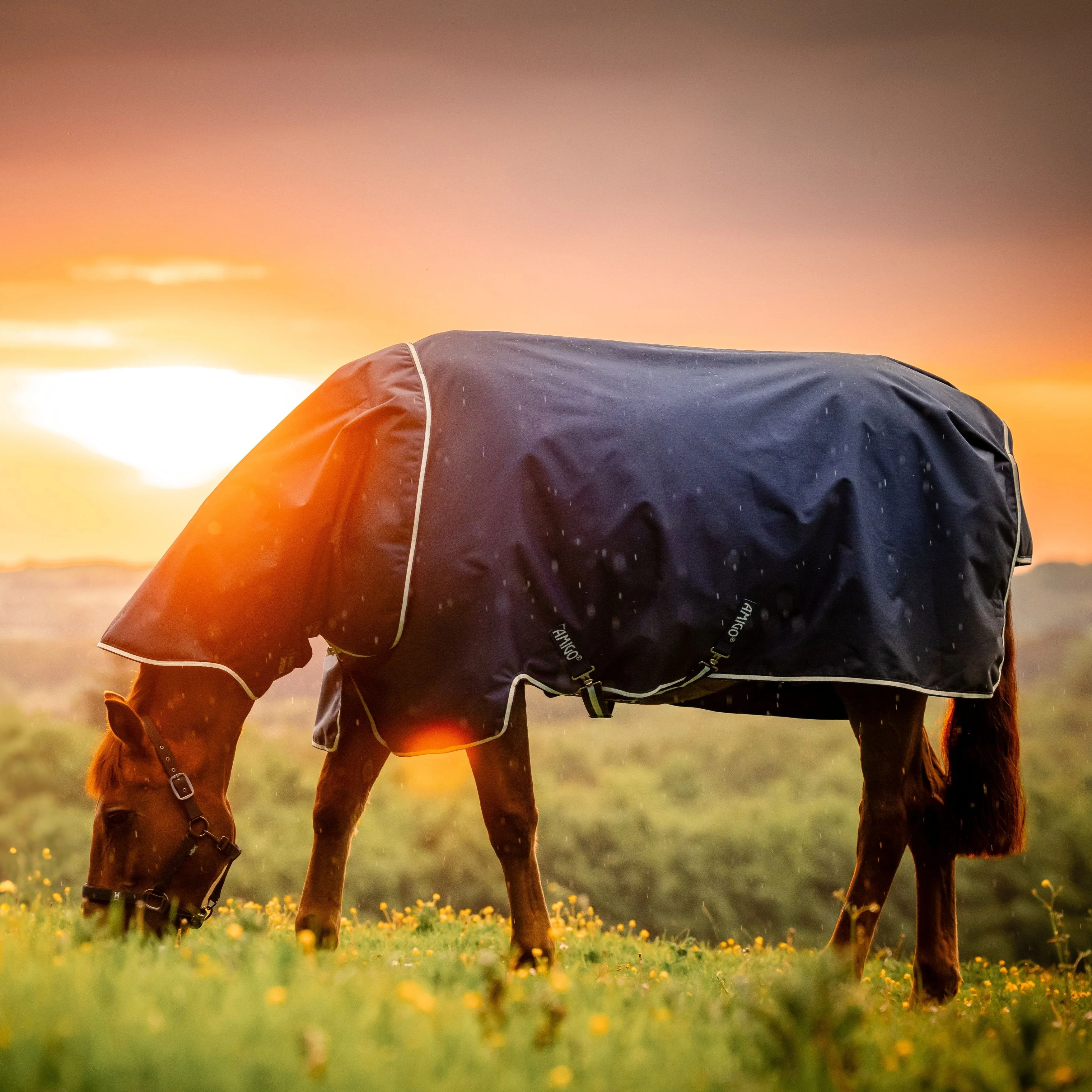 Horseware Ireland Amigo Ripstop 900 Plus 100g - Image 24