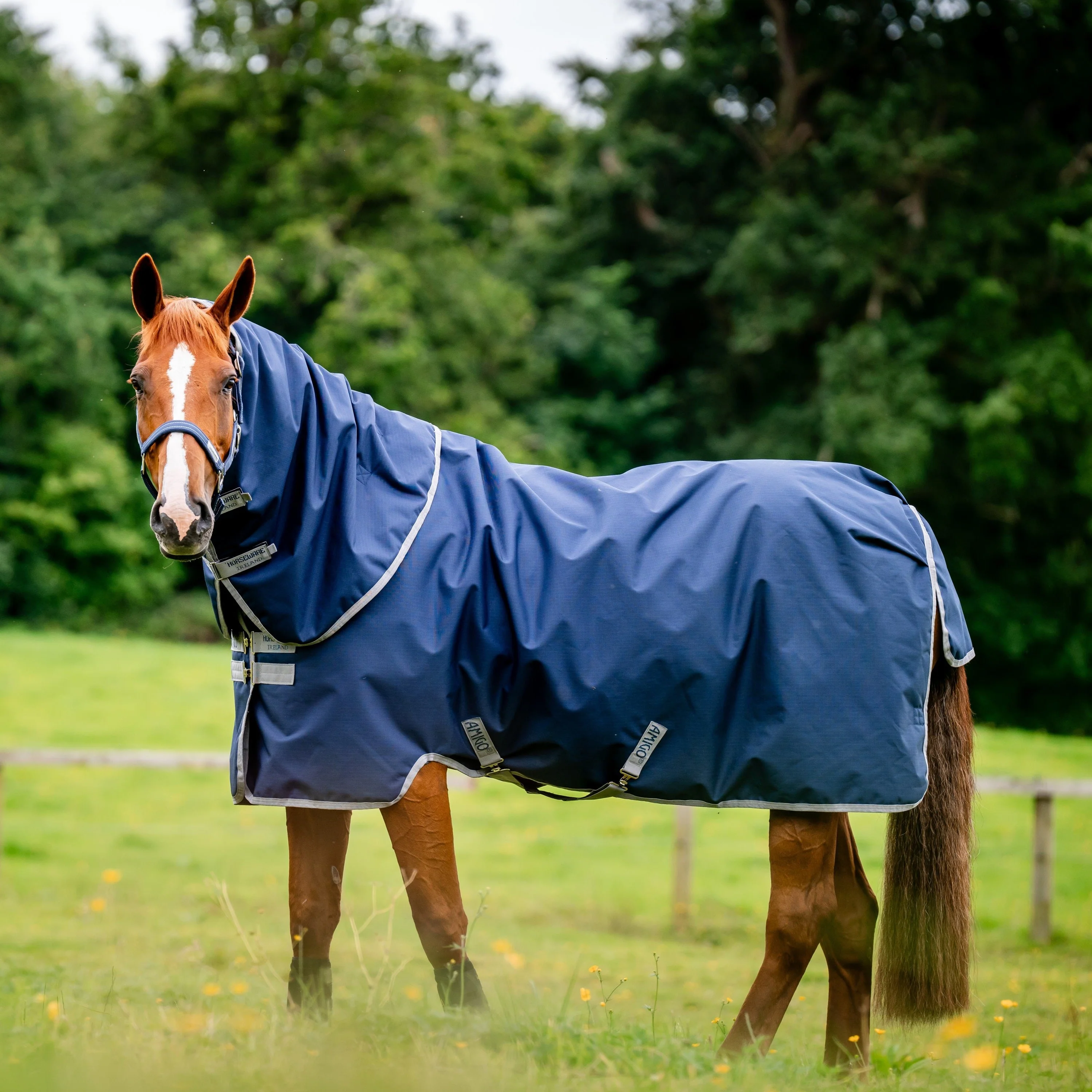 Horseware Ireland Amigo Ripstop 900 Plus 100g - Image 3