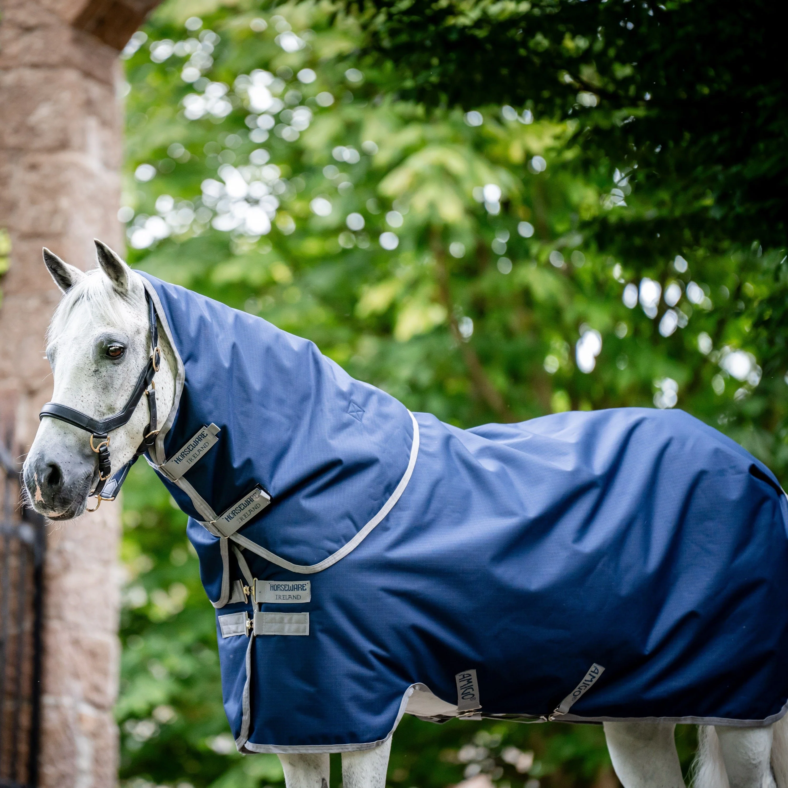 Horseware Ireland Amigo Ripstop 900 Plus 200g - Image 11