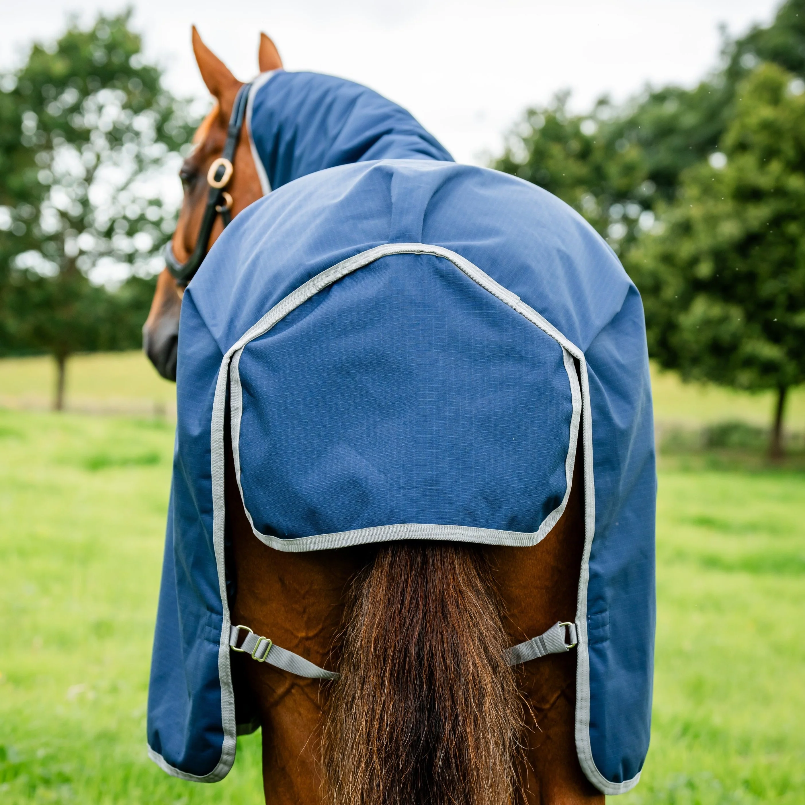 Horseware Ireland Amigo Ripstop 900 Plus 200g - Image 19