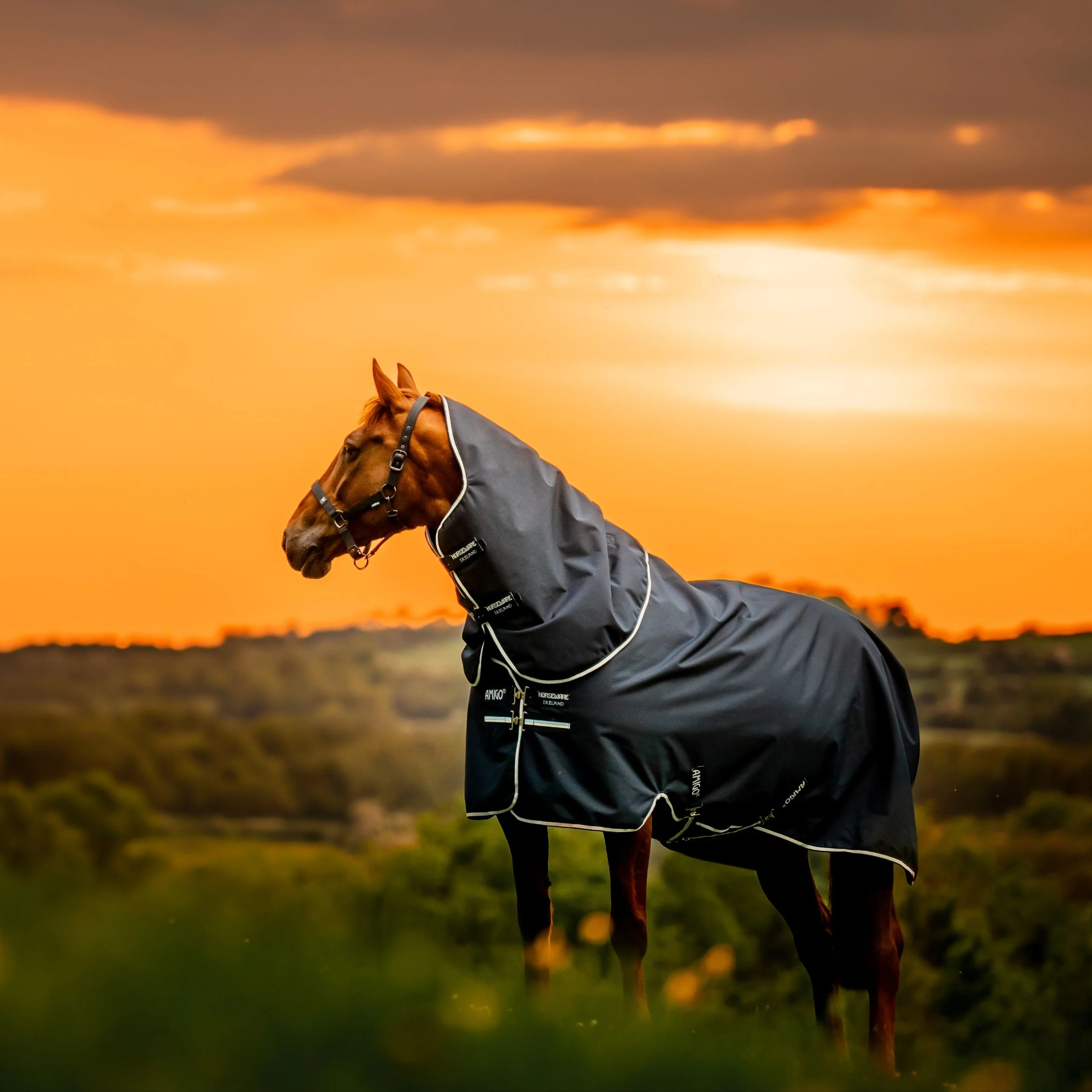 Horseware Ireland Amigo Ripstop 900 Plus 200g - Image 20