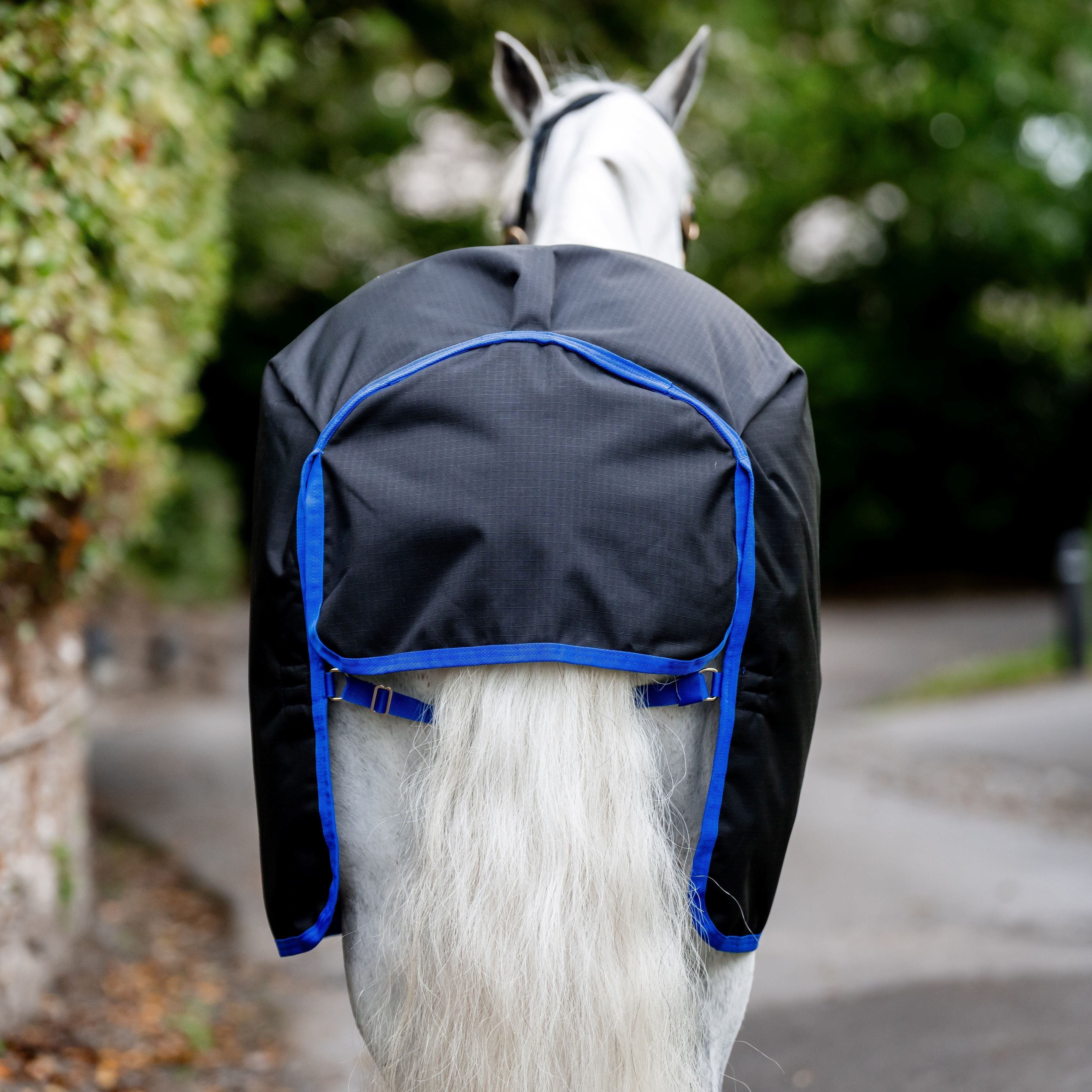 Horseware Ireland Amigo Ripstop 900D 100g Pony Turnout Rug - Image 4
