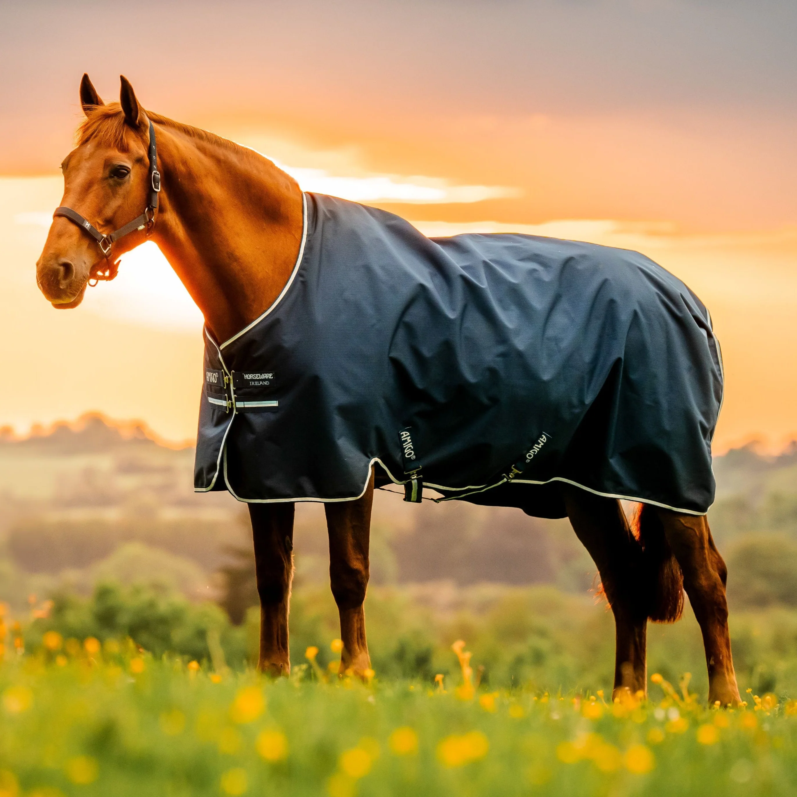 Horseware Ireland Amigo Ripstop 900D 100g Pony Turnout Rug - Image 6