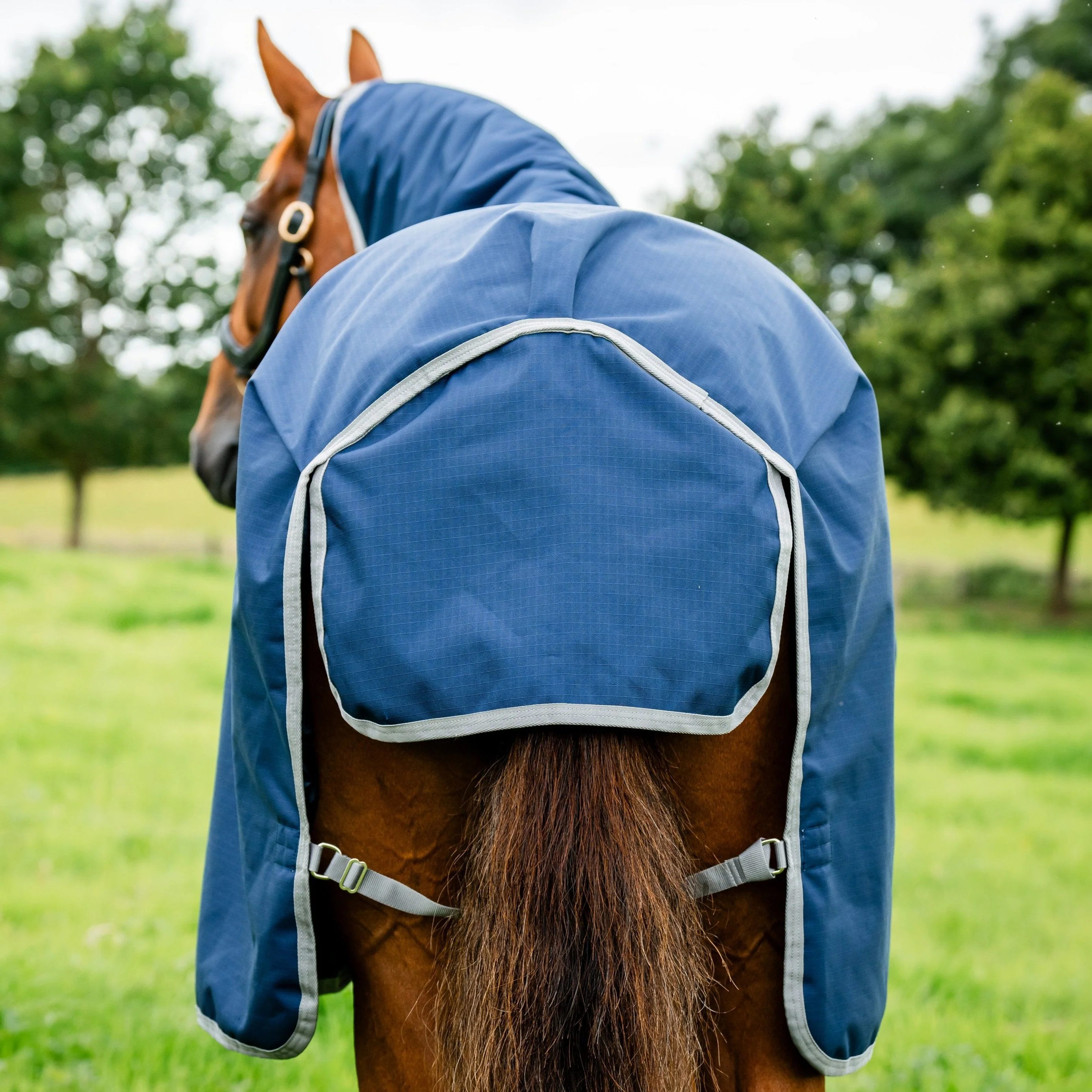 Horseware Ireland Amigo Ripstop 900D 100g Turnout Rug - Image 13