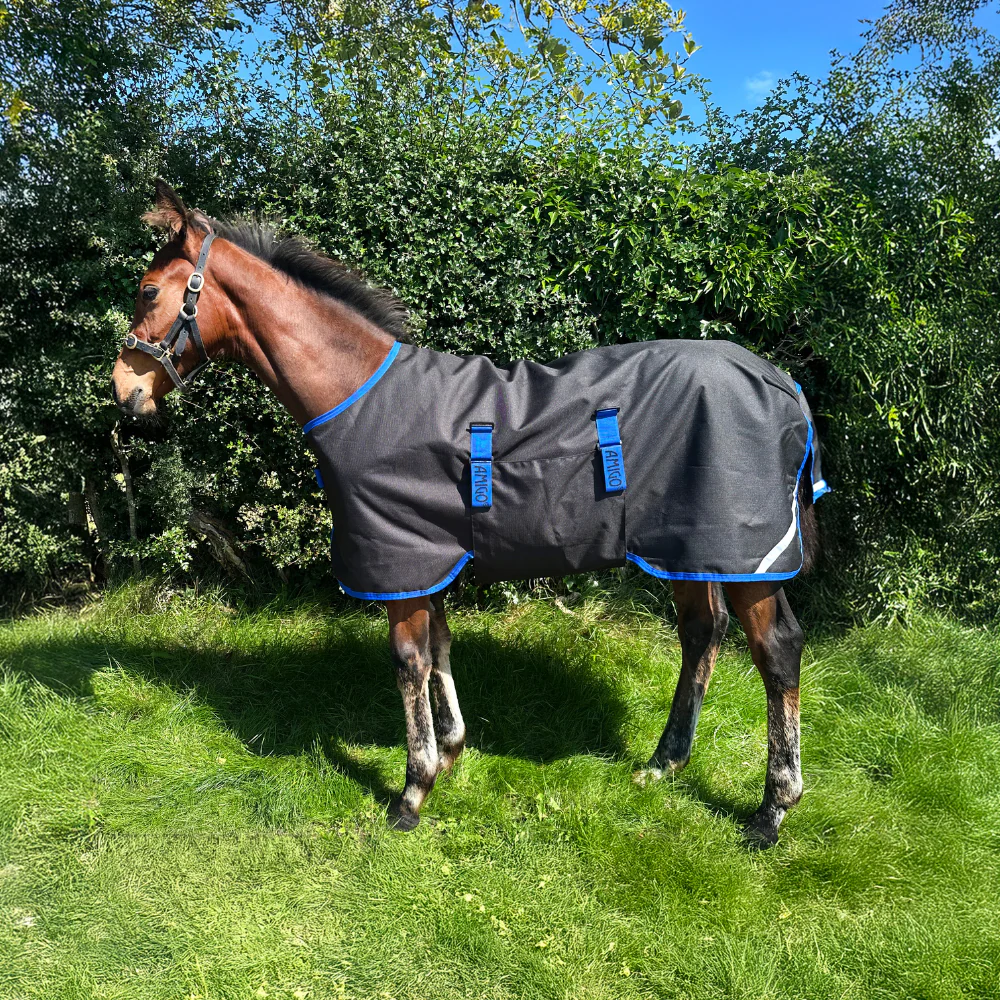 Horseware Ireland Amigo Ripstop 900D 50g Foal Turnout Rug - Image 5