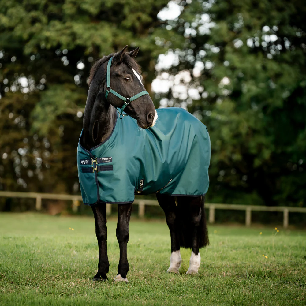 Horseware Ireland Amigo Ripstop 900D 200g Pony Turnout Rug - Image 12