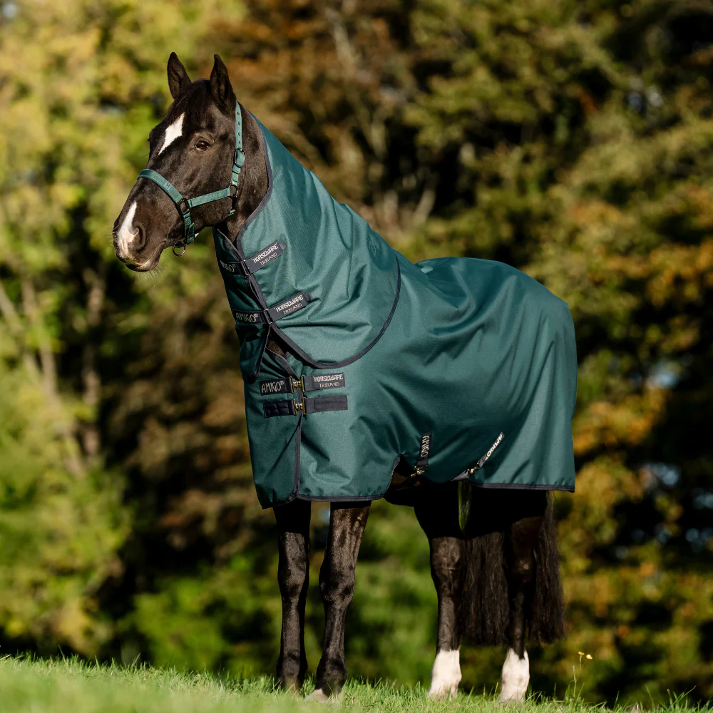 Horseware Ireland Amigo Ripstop 900D Plus 0g Pony Turnout Rug - Image 14