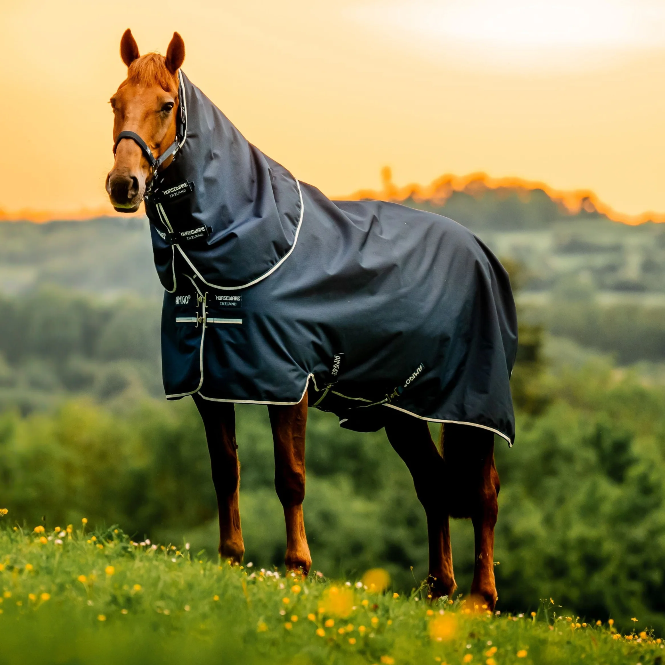 Horseware Ireland Amigo Ripstop 900D Plus 100g Pony Turnout Rug - Image 6