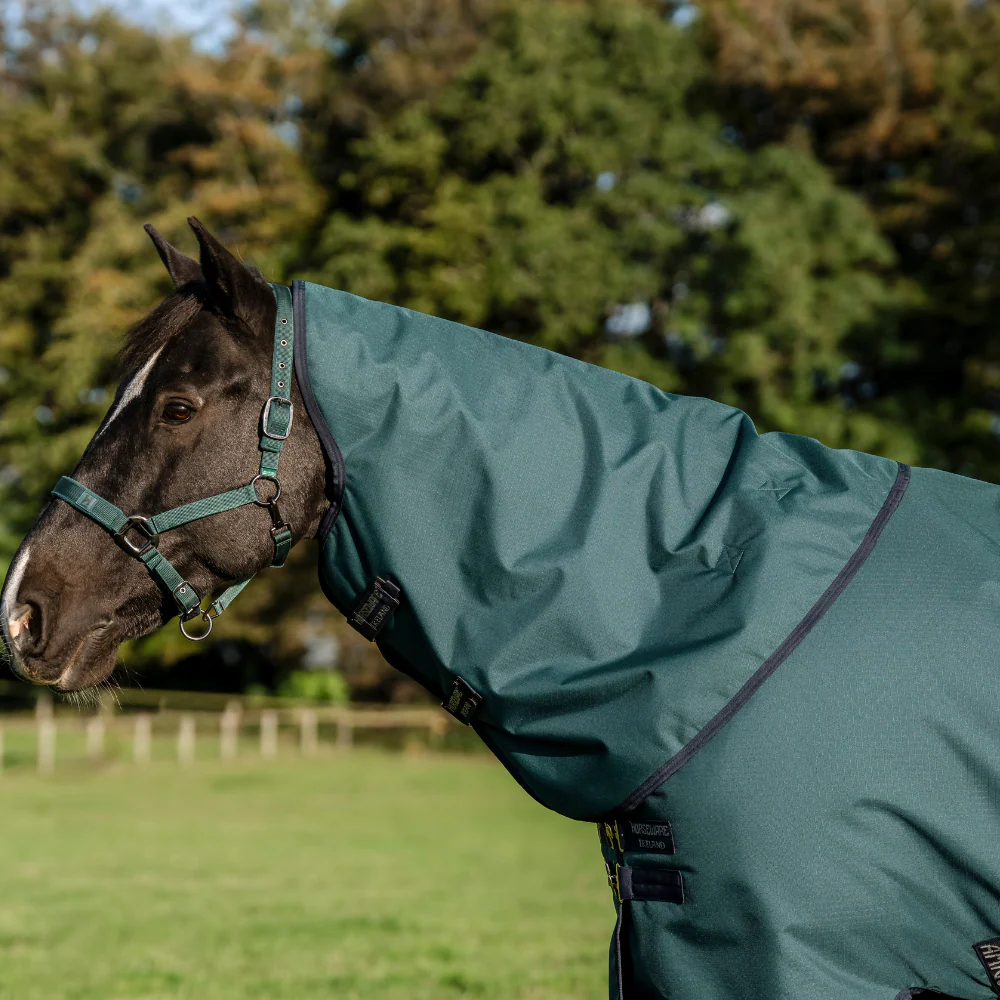 Horseware Ireland Amigo Ripstop 900D Plus 200g Pony Turnout Rug - Image 15