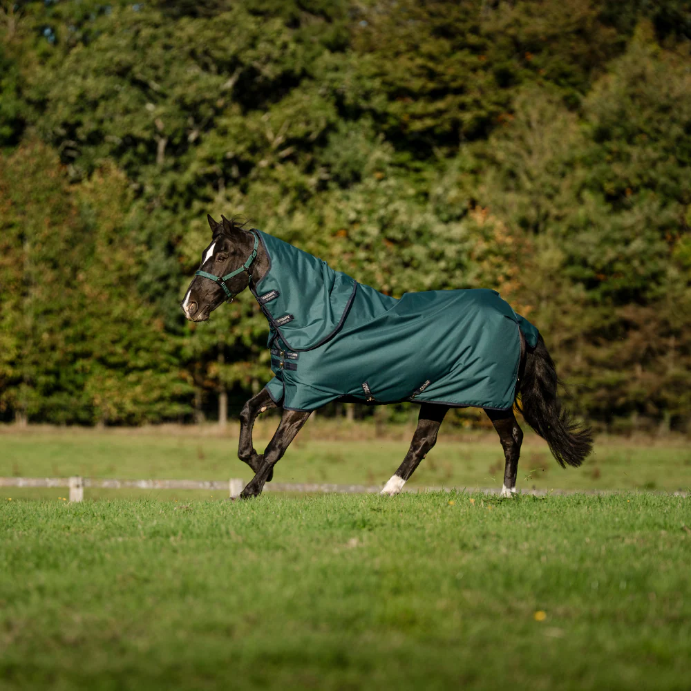 Horseware Ireland Amigo Ripstop 900D Plus 200g Pony Turnout Rug - Image 24