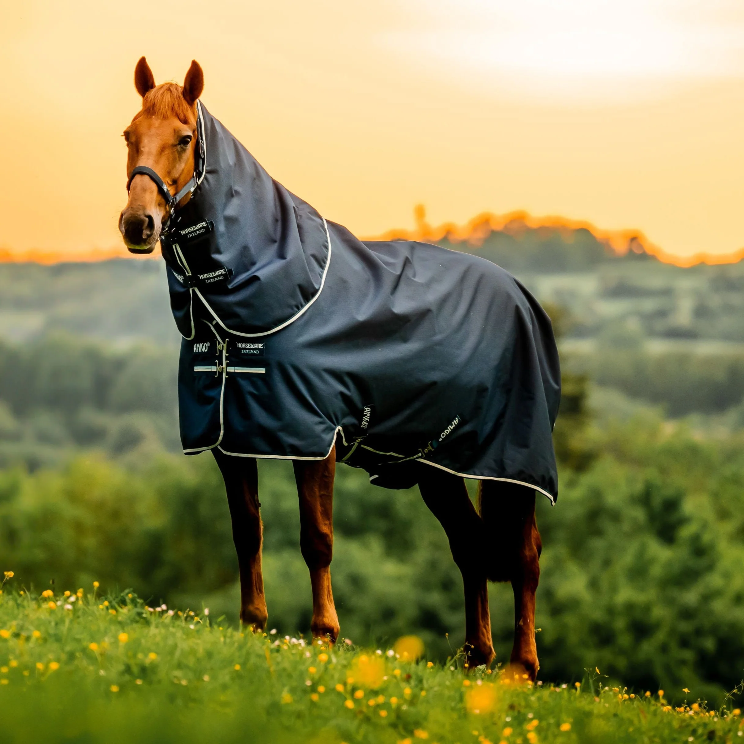 Horseware Ireland Amigo Ripstop 900D Plus 200g Pony Turnout Rug - Image 6