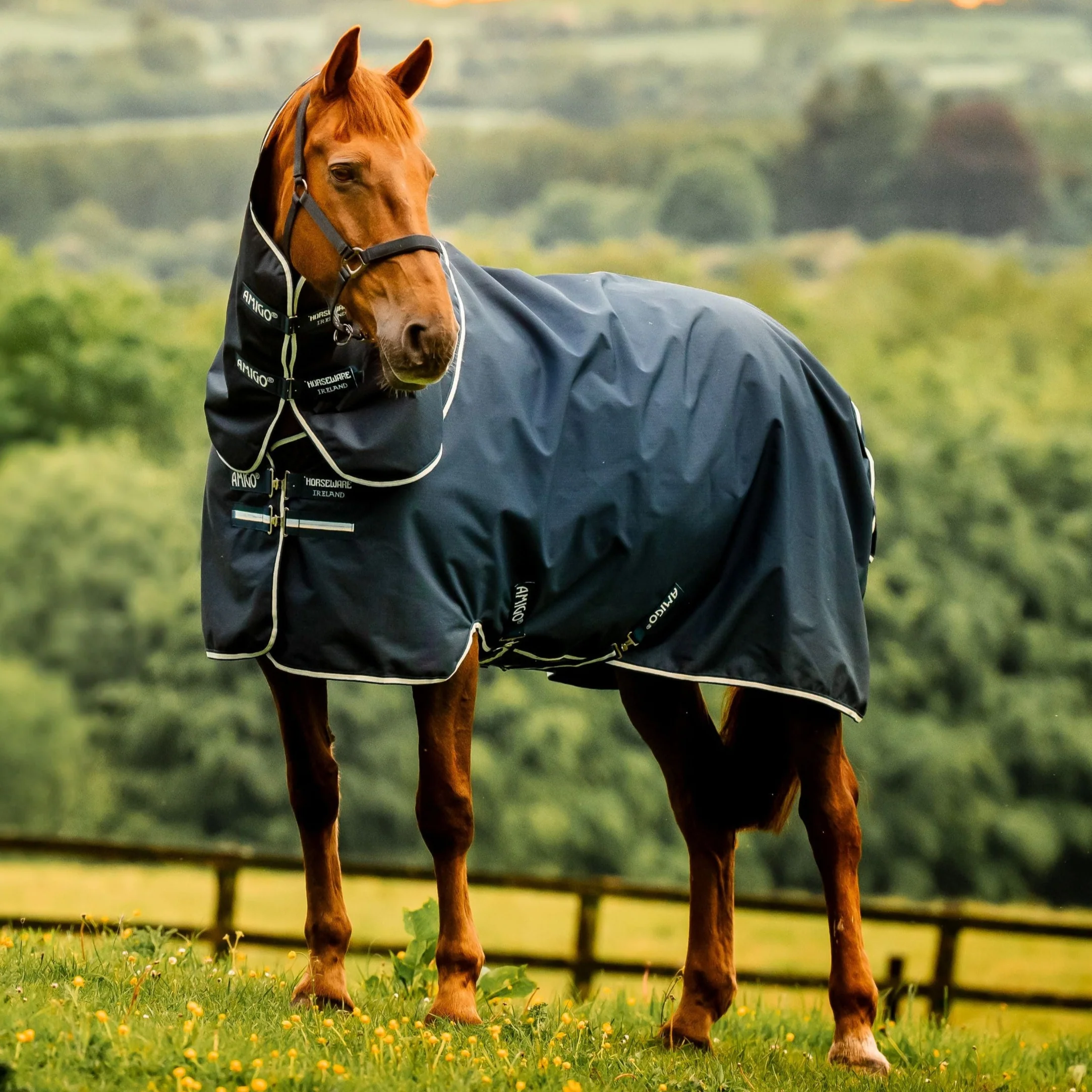 Horseware Ireland Amigo Ripstop 900D Plus 200g Pony Turnout Rug - Image 8