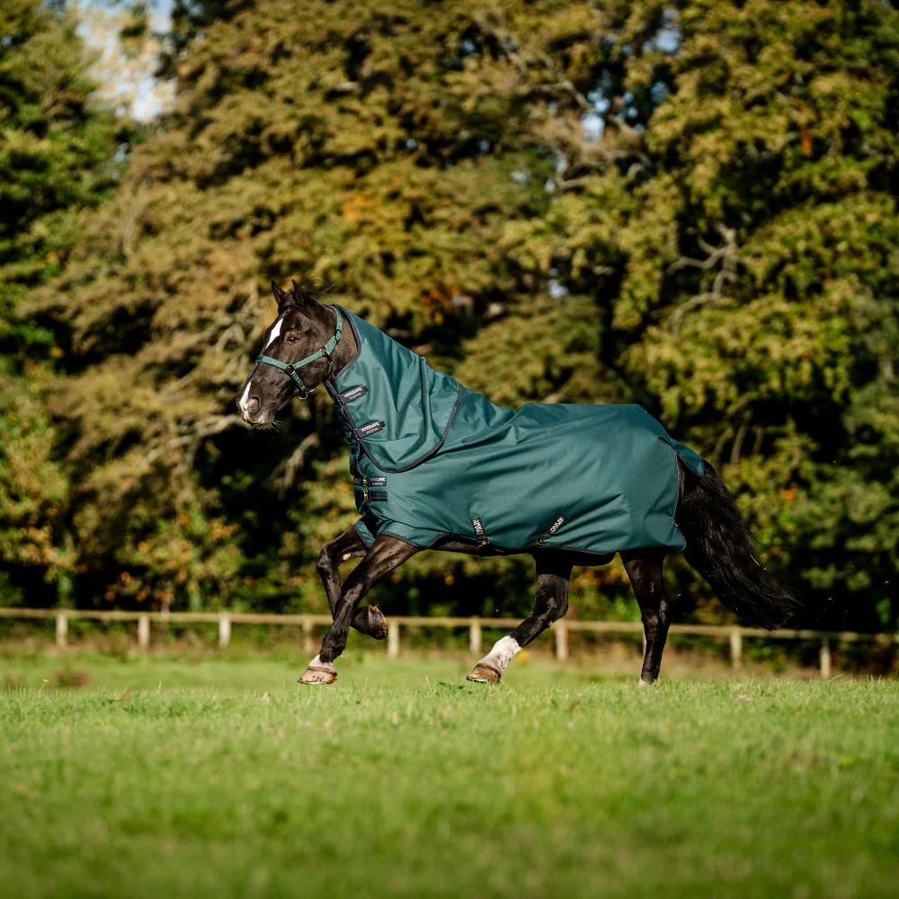 Horseware Ireland Amigo Ripstop 900D Plus 50g Pony Turnout Rug - Image 16