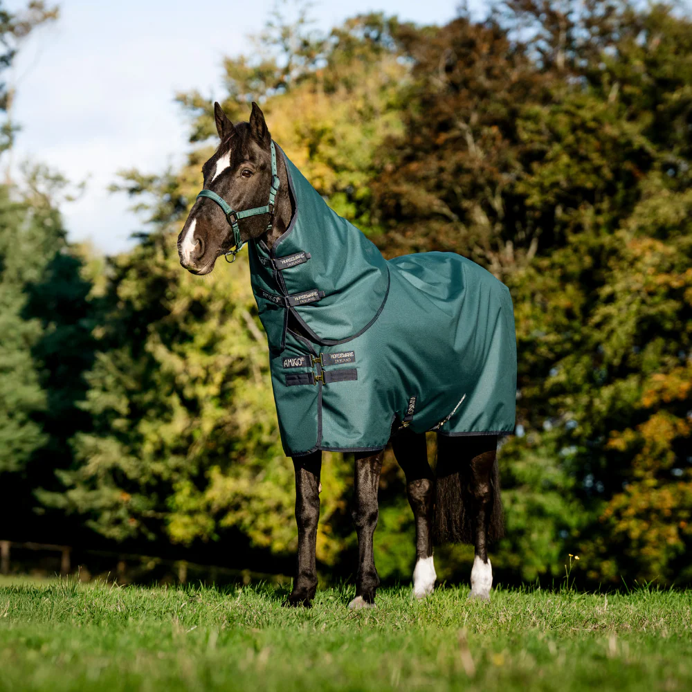 Horseware Ireland Amigo Ripstop 900D Plus 50g Pony Turnout Rug - Image 17