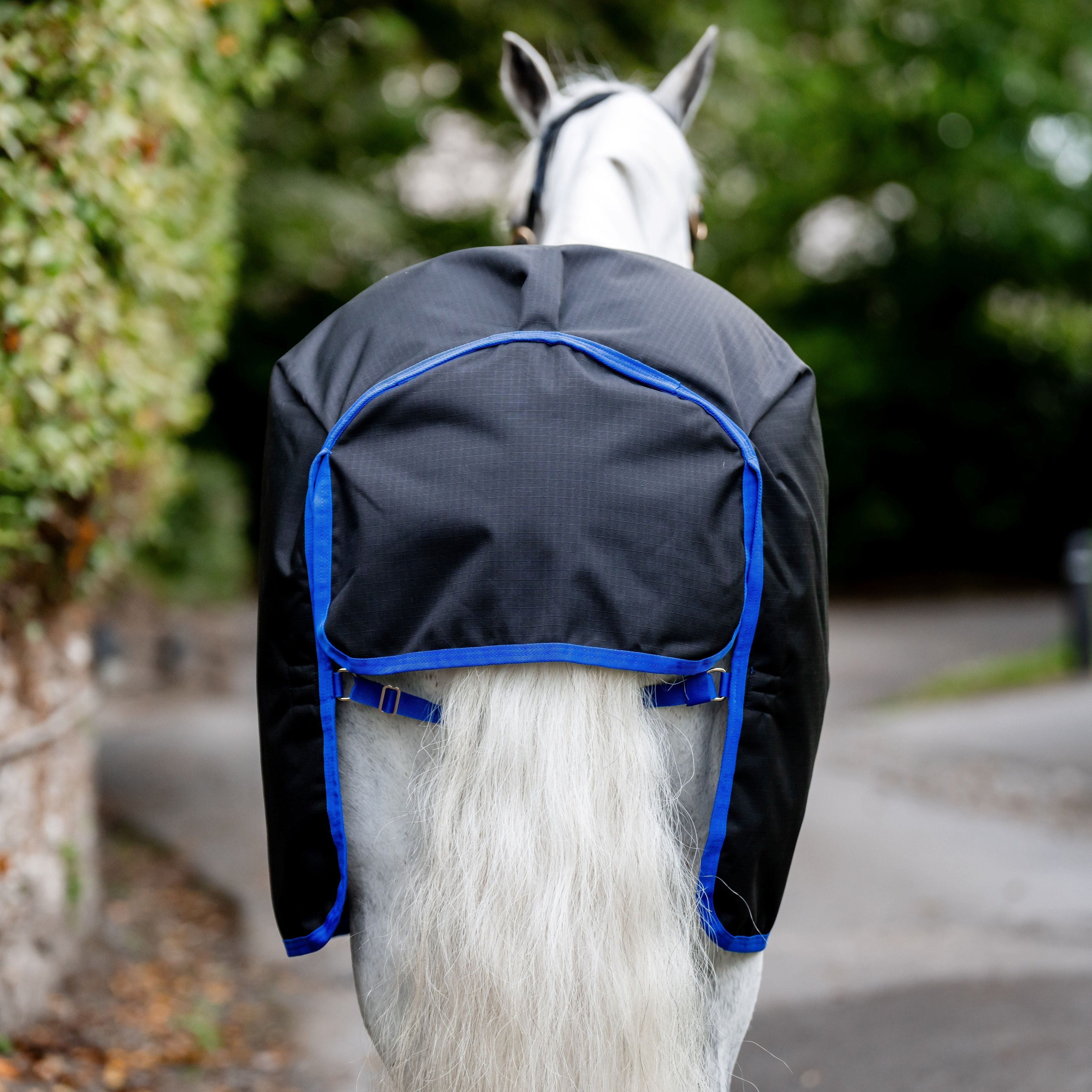 Horseware Ireland Amigo Ripstop 900D Plus 50g Pony Turnout Rug - Image 3