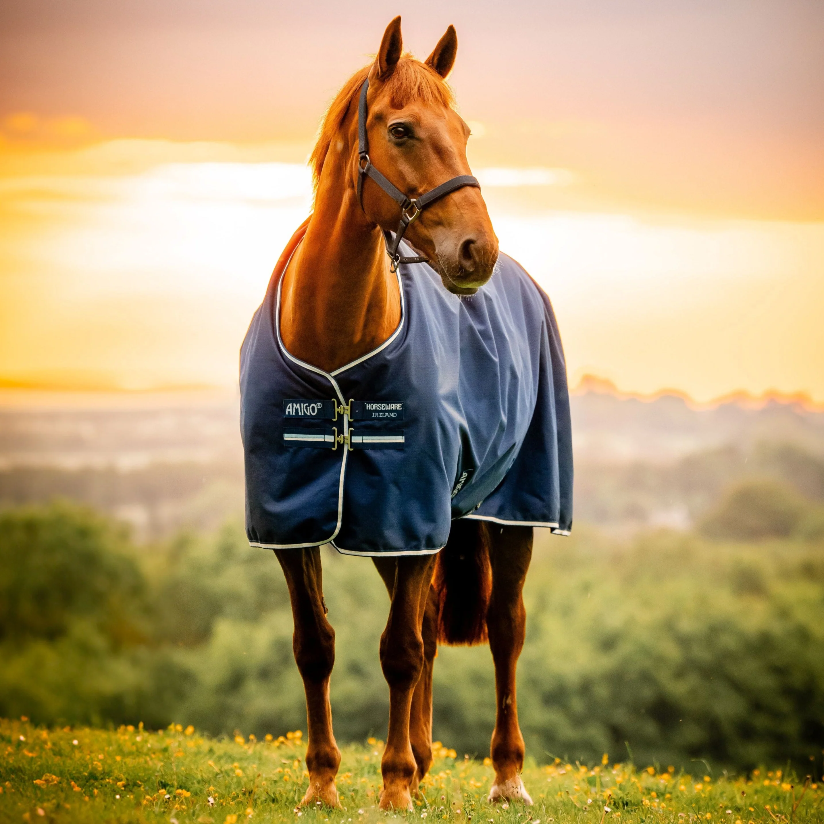 Horseware Ireland Amigo Ripstop 900D Pony 0g Turnout Rug - Image 7