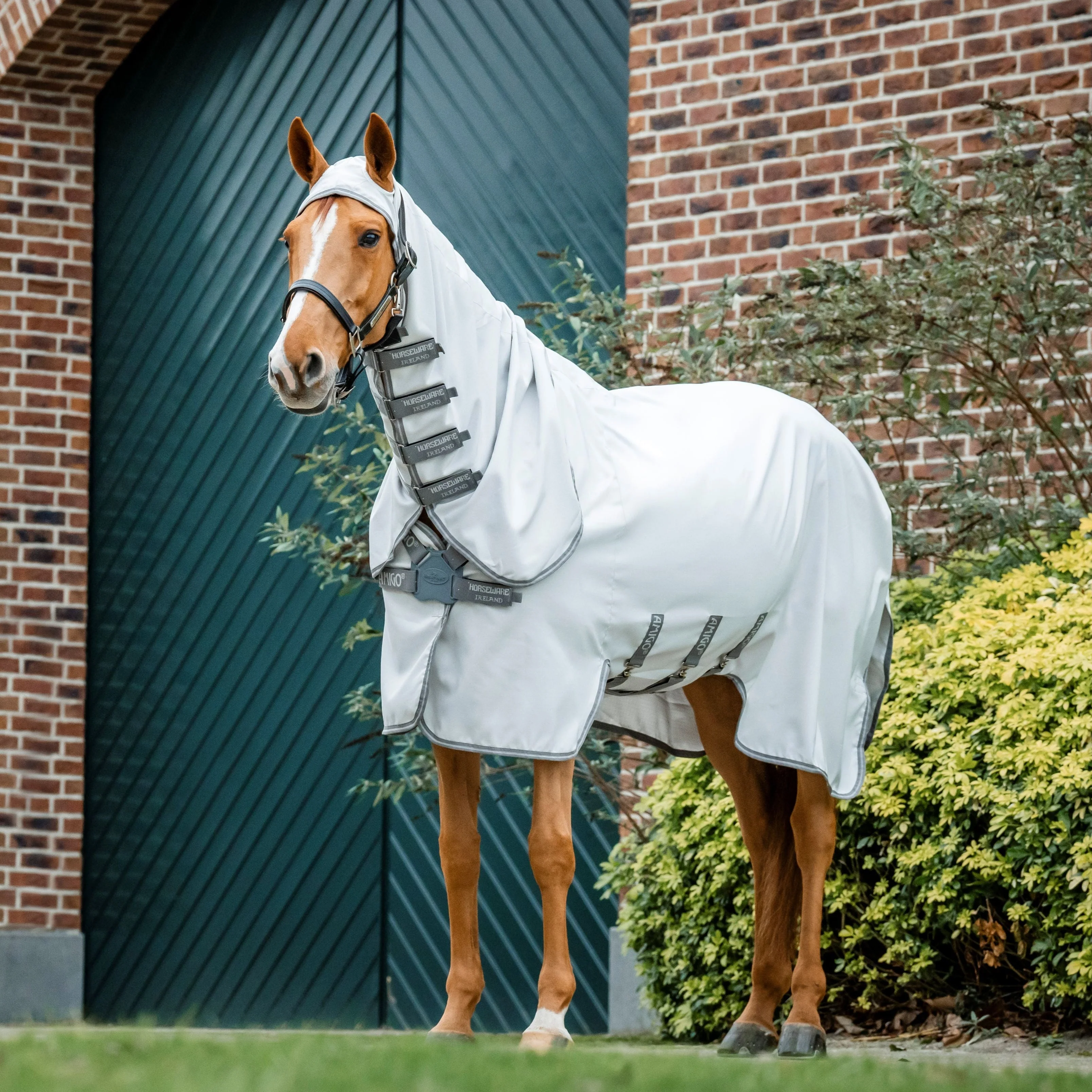 Horseware Ireland Amigo Ripstop Hoody - Image 5