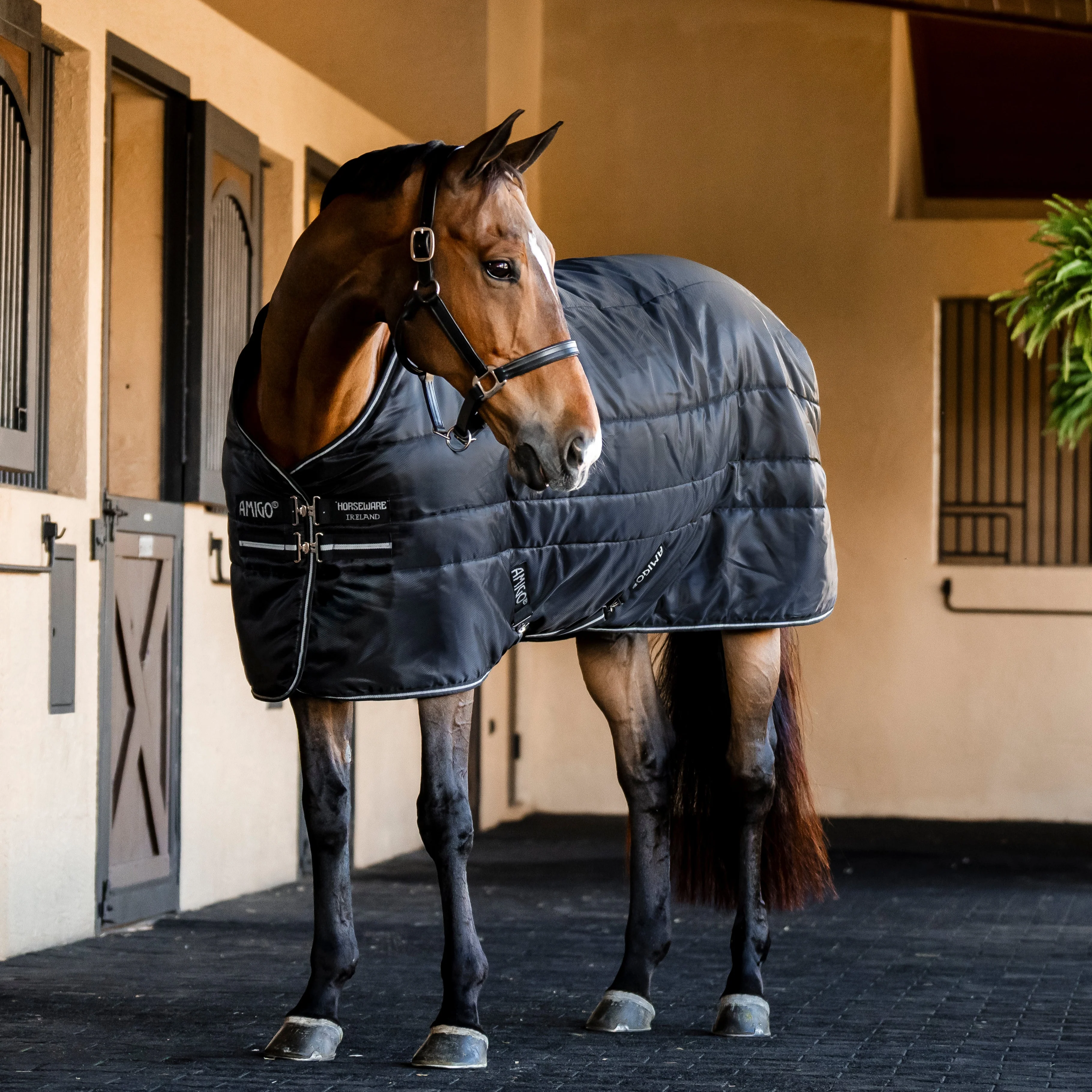 Horseware Ireland Amigo Ripstop Insulator 350g Stable Rug - Image 9