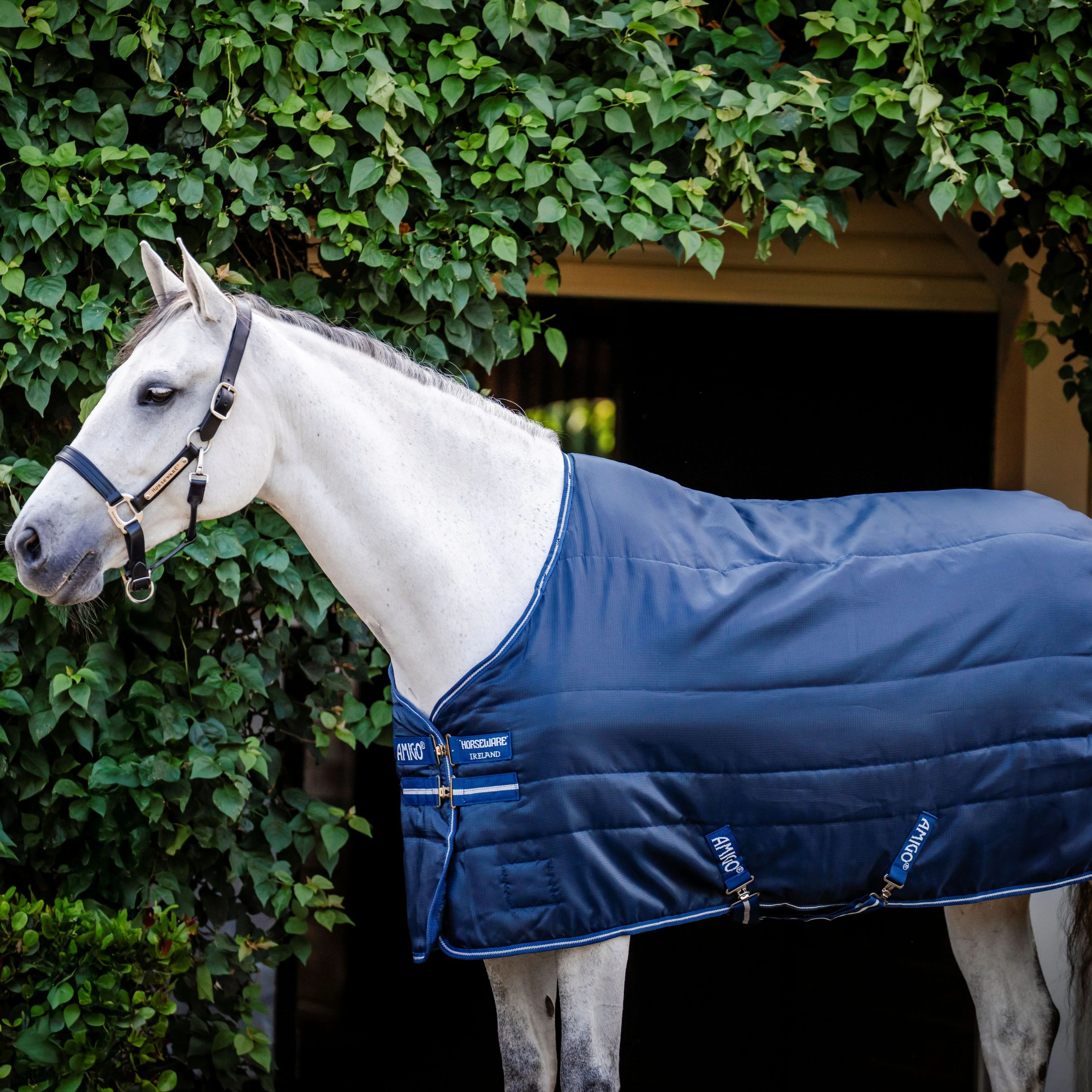 Horseware Ireland Amigo Ripstop Insulator 50g Stable Rug - Image 4
