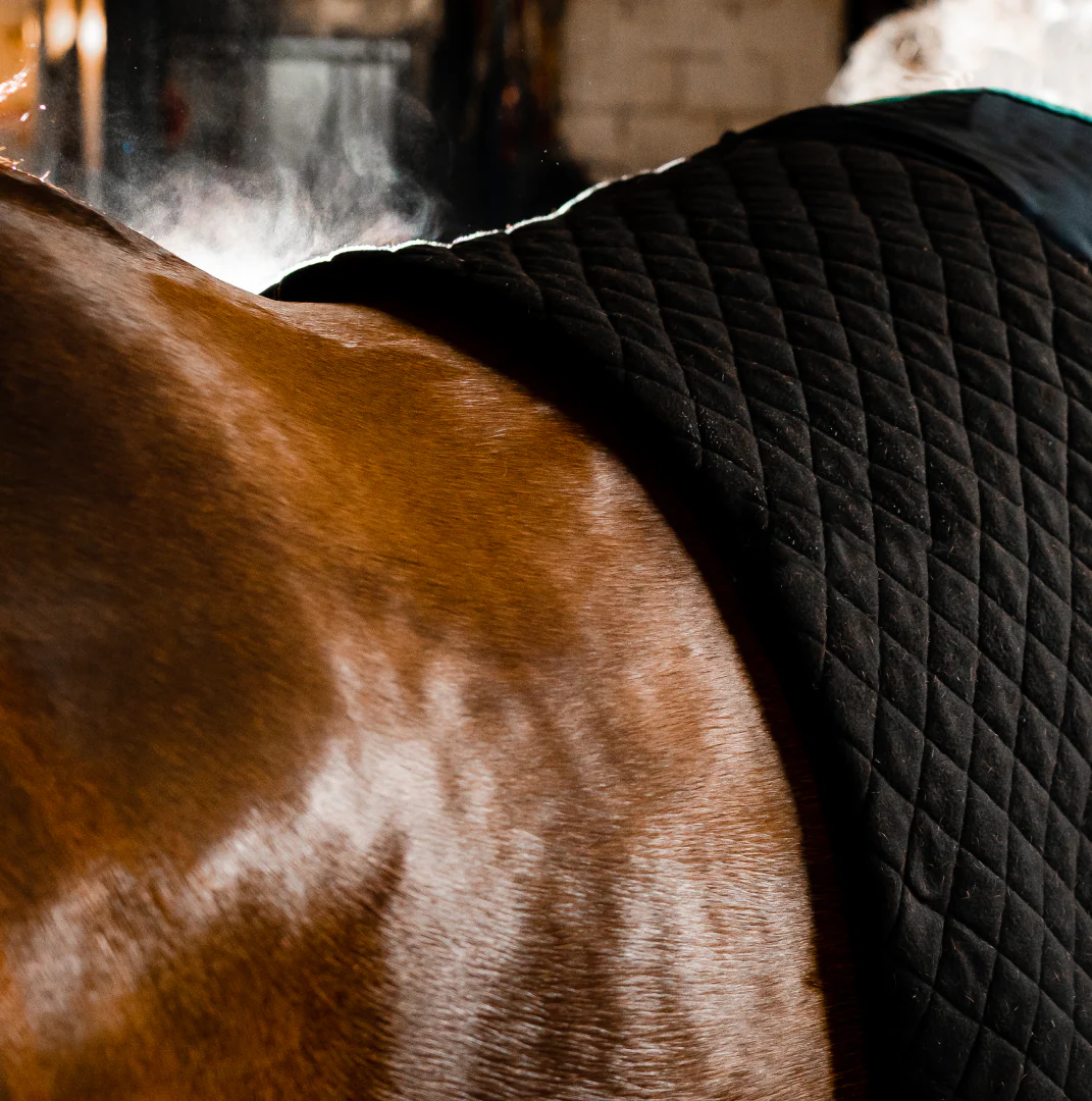 Horseware Ireland Autumn Cooler - Image 4