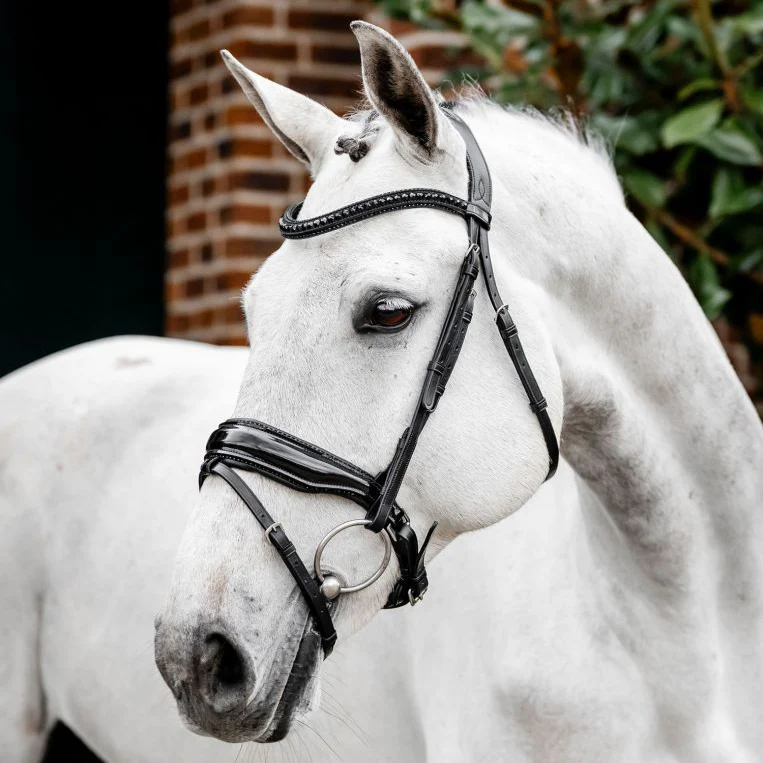 Horseware Ireland Diamante Flash Bridle