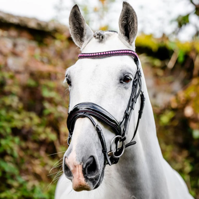 Horseware Ireland Diamante Flash Bridle - Image 8