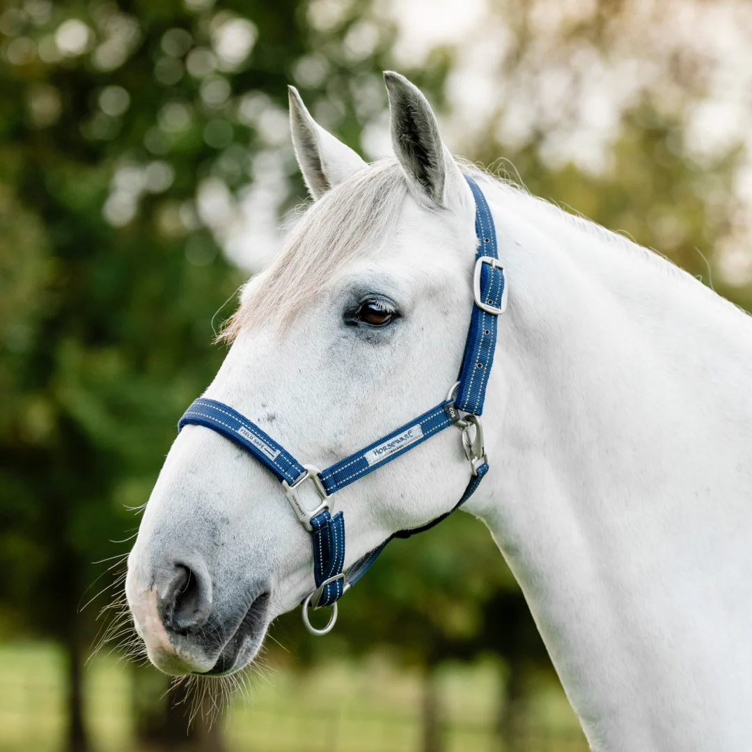 Horseware Ireland Field Safe Headcollar