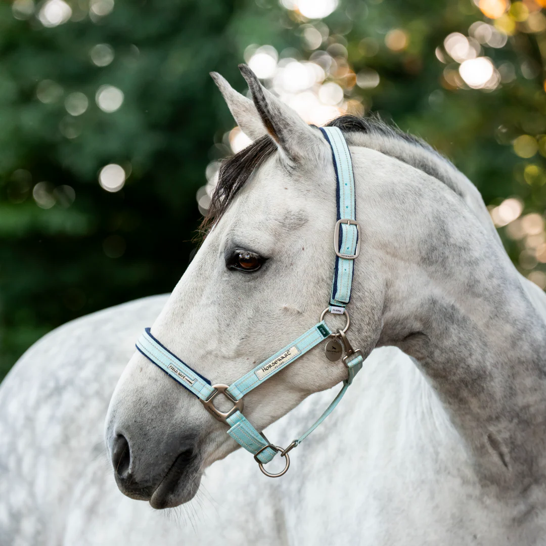 Horseware Ireland Field Safe Headcollar - Image 6