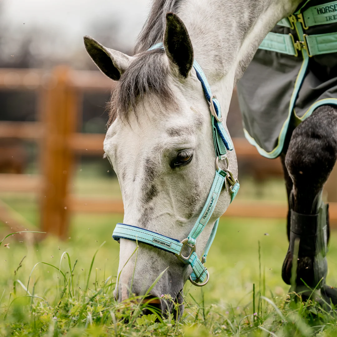 Horseware Ireland Field Safe Headcollar - Image 9