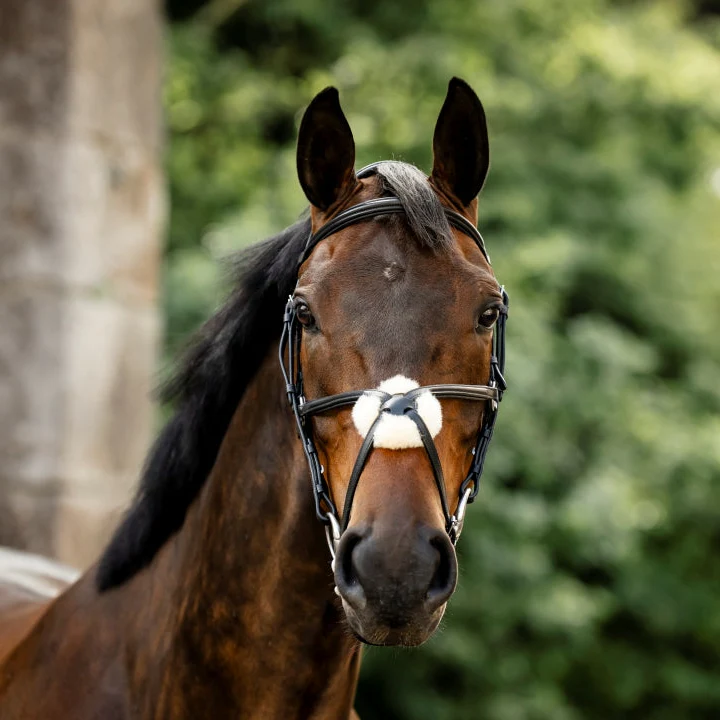 Horseware Ireland Figure 8 Grackle Bridle - Image 6