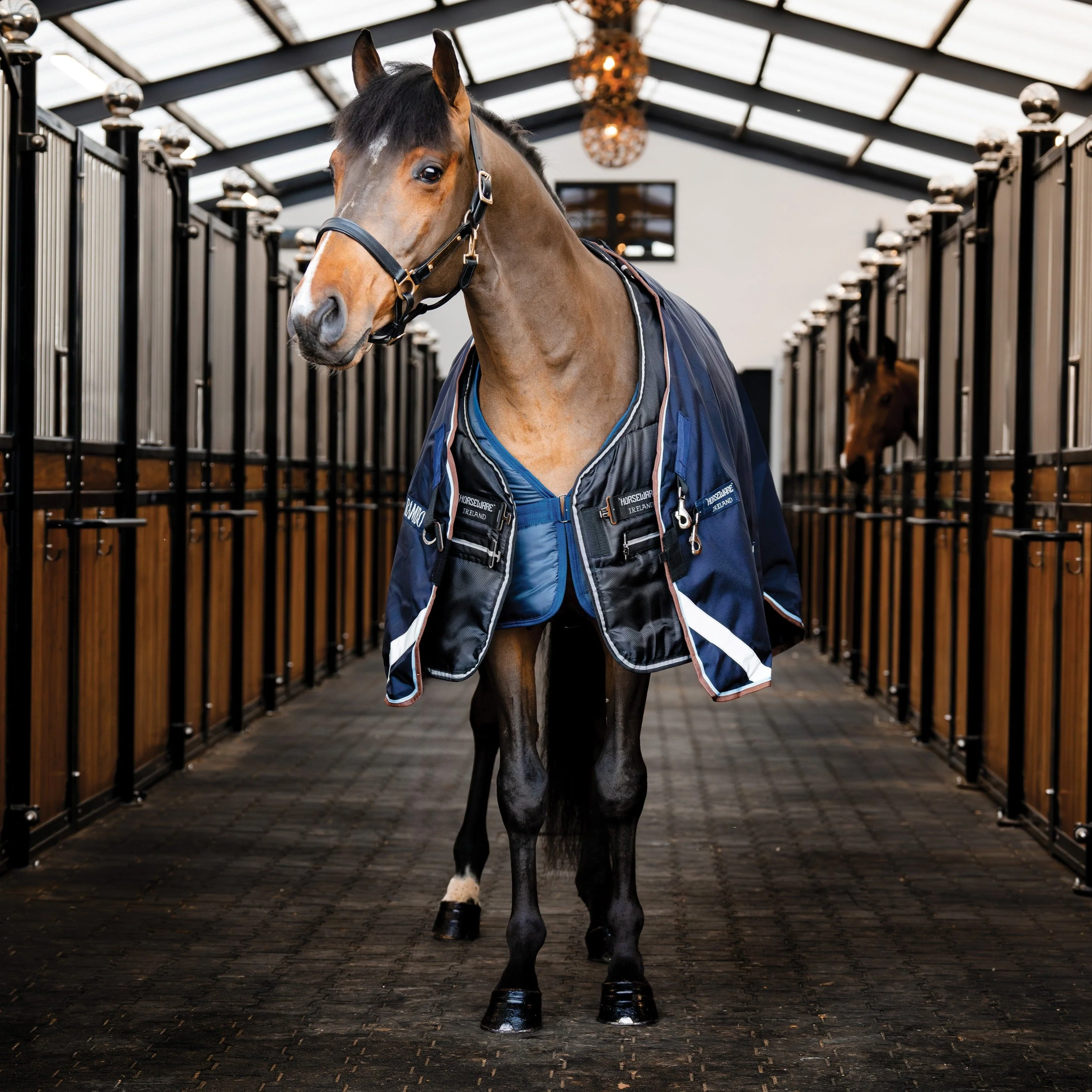 Horseware Ireland Horseware Easy-Layer 100g Stable Rug - Image 9