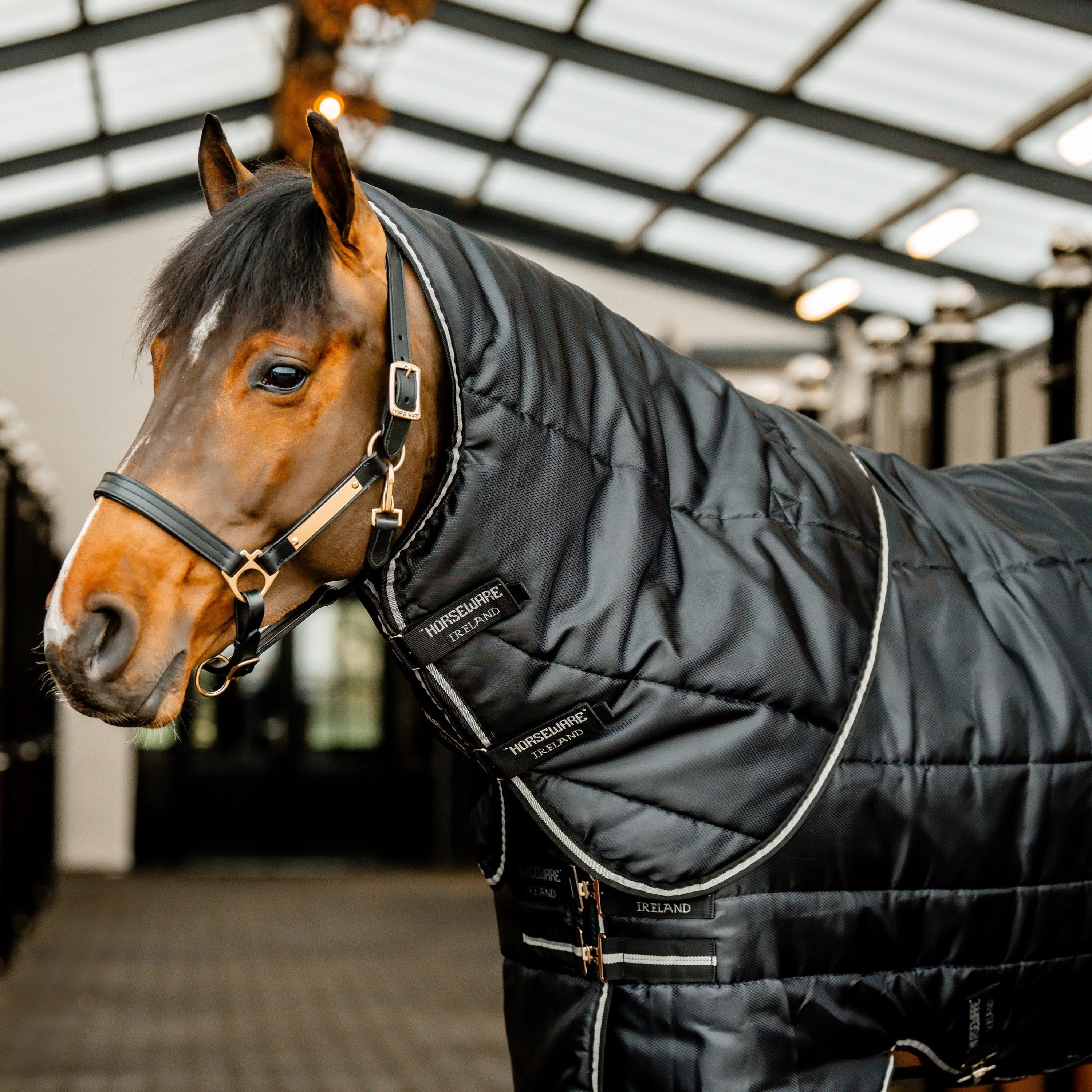 Horseware Ireland Easy-Layer 100g Stable Rug Hood