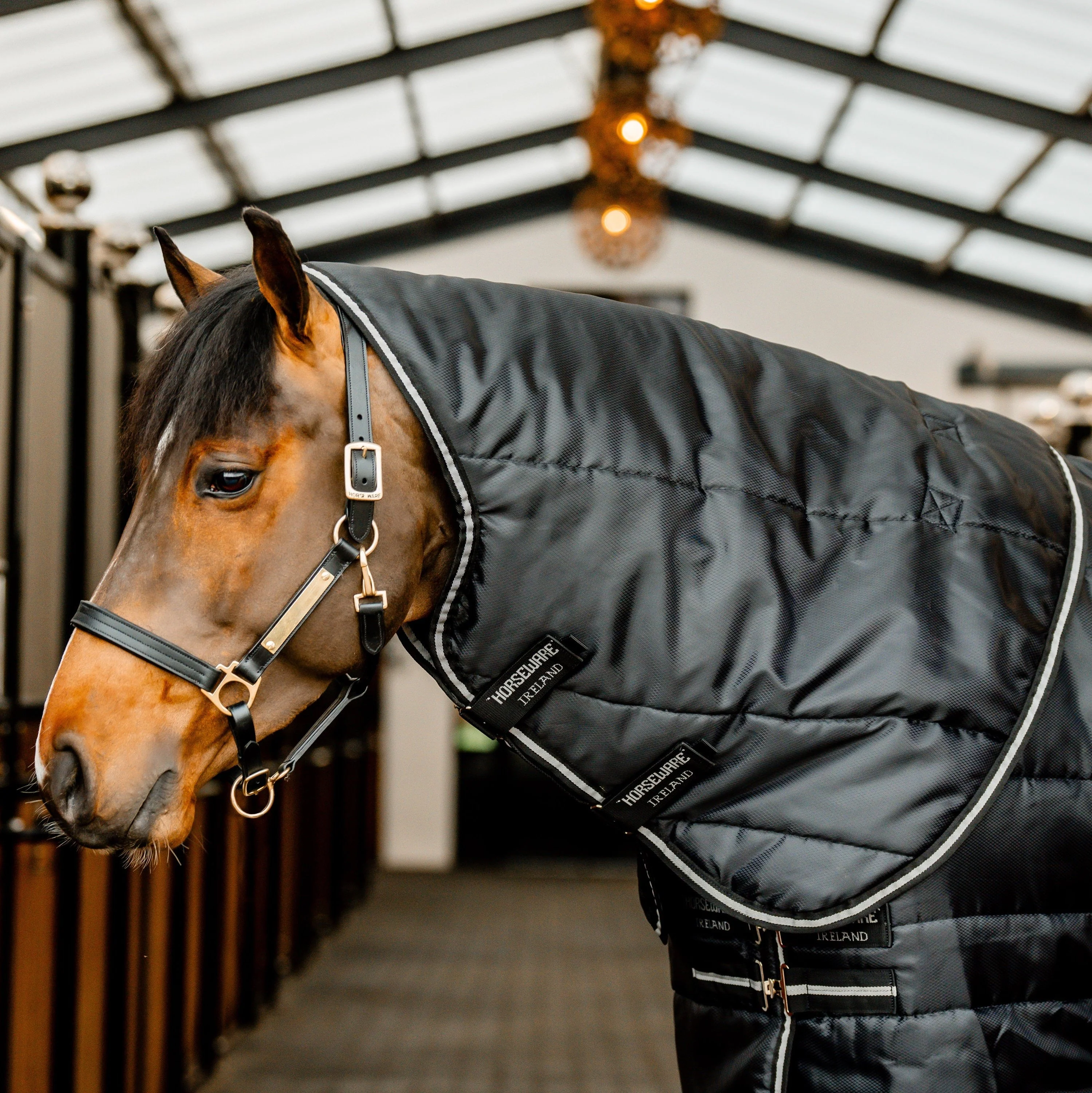 Horseware Ireland Easy-Layer 100g Stable Rug Hood - Image 3